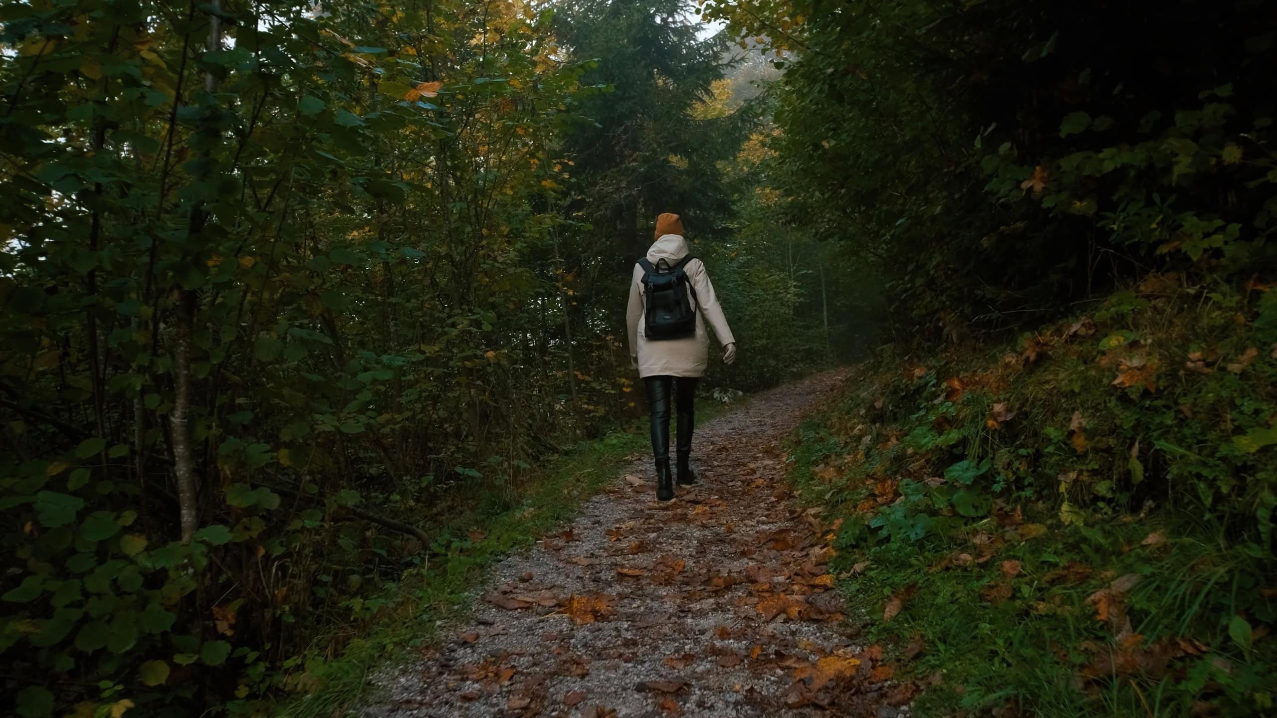 A woman in a winter coat strolls down a gravel path in a serene forest, surrounded by lush greenery and vibrant fall foliage during the morning hours.
