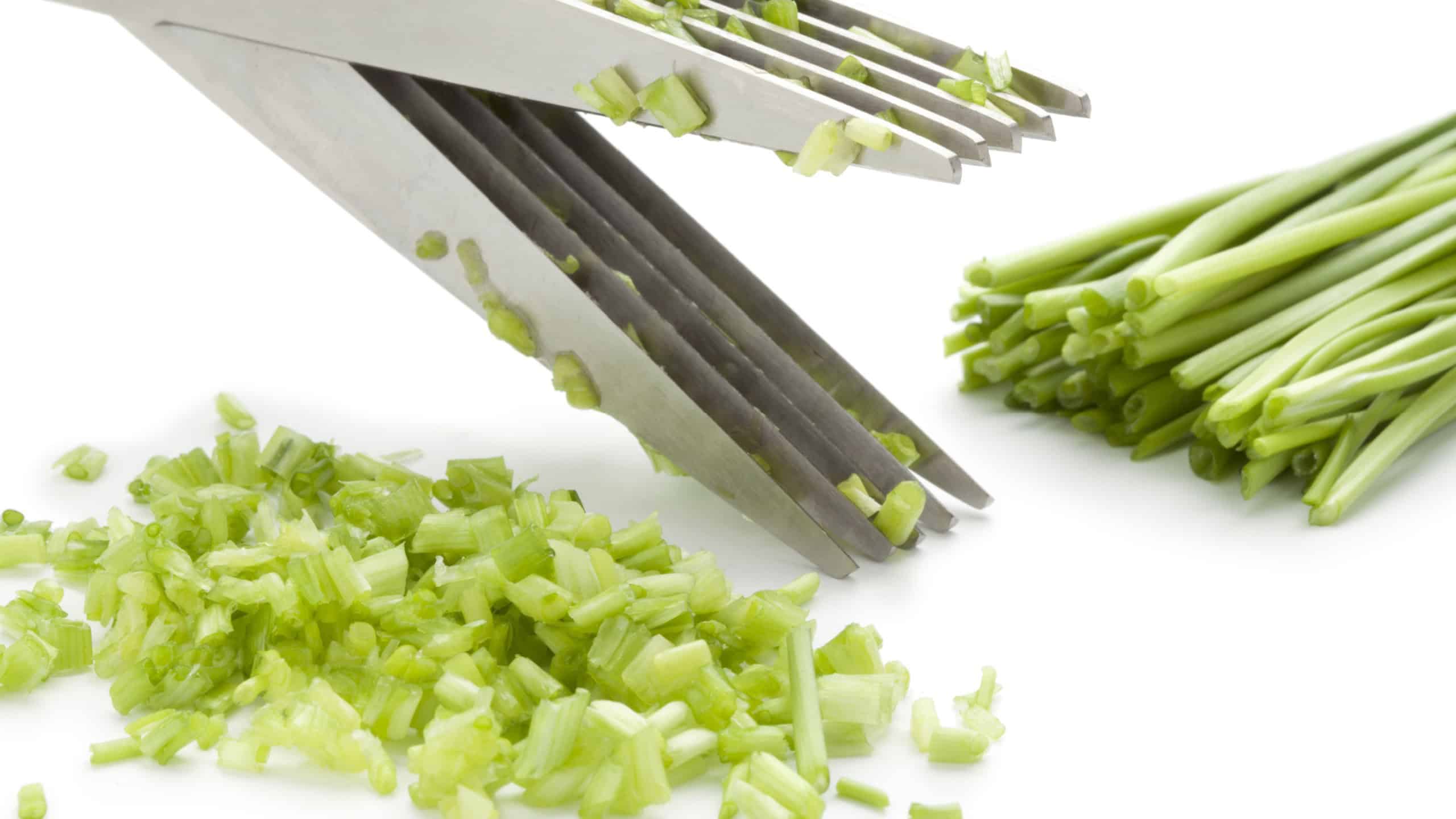 Herb scissors cutting chives on white background