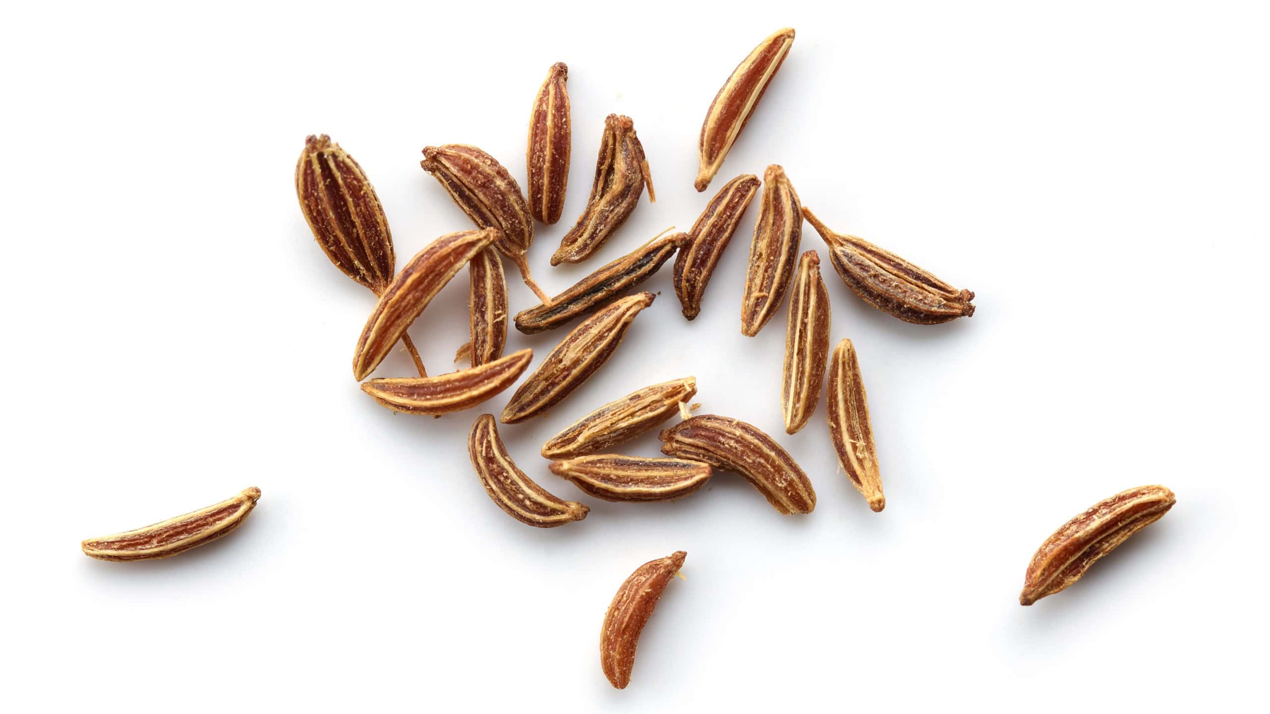 caraway cumin seeds macro isolated on white background, top view