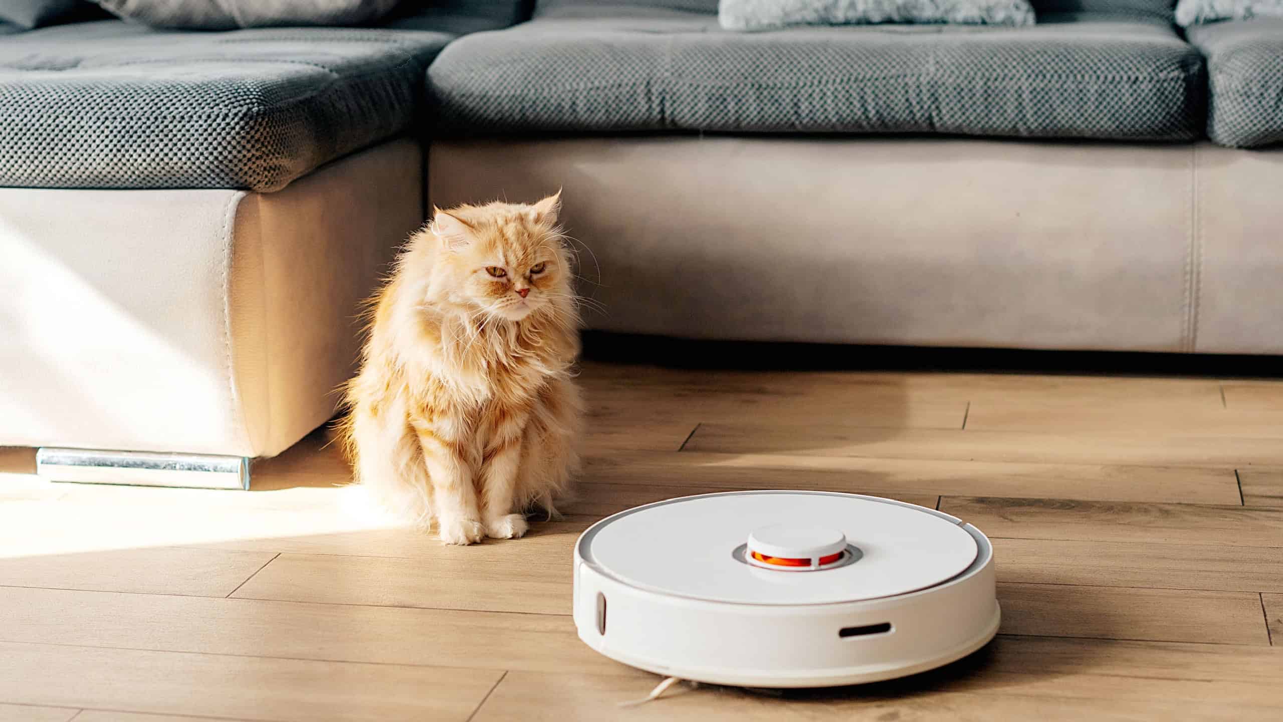 White robot vacuum cleaner washes the floor.
