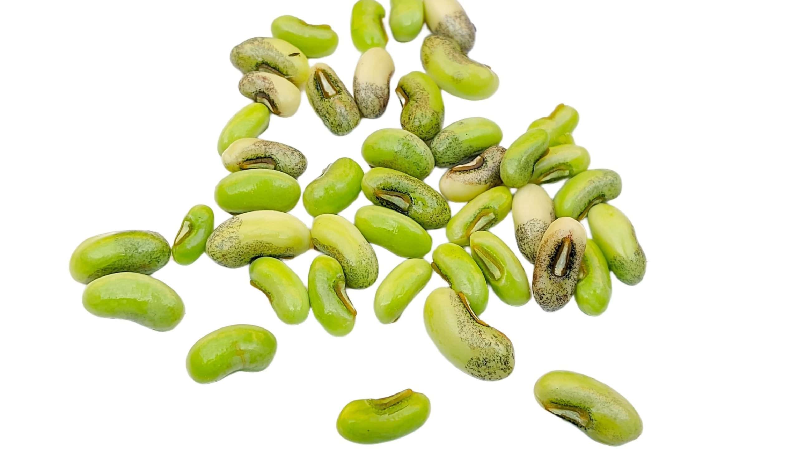 Lady peas seeds on white background