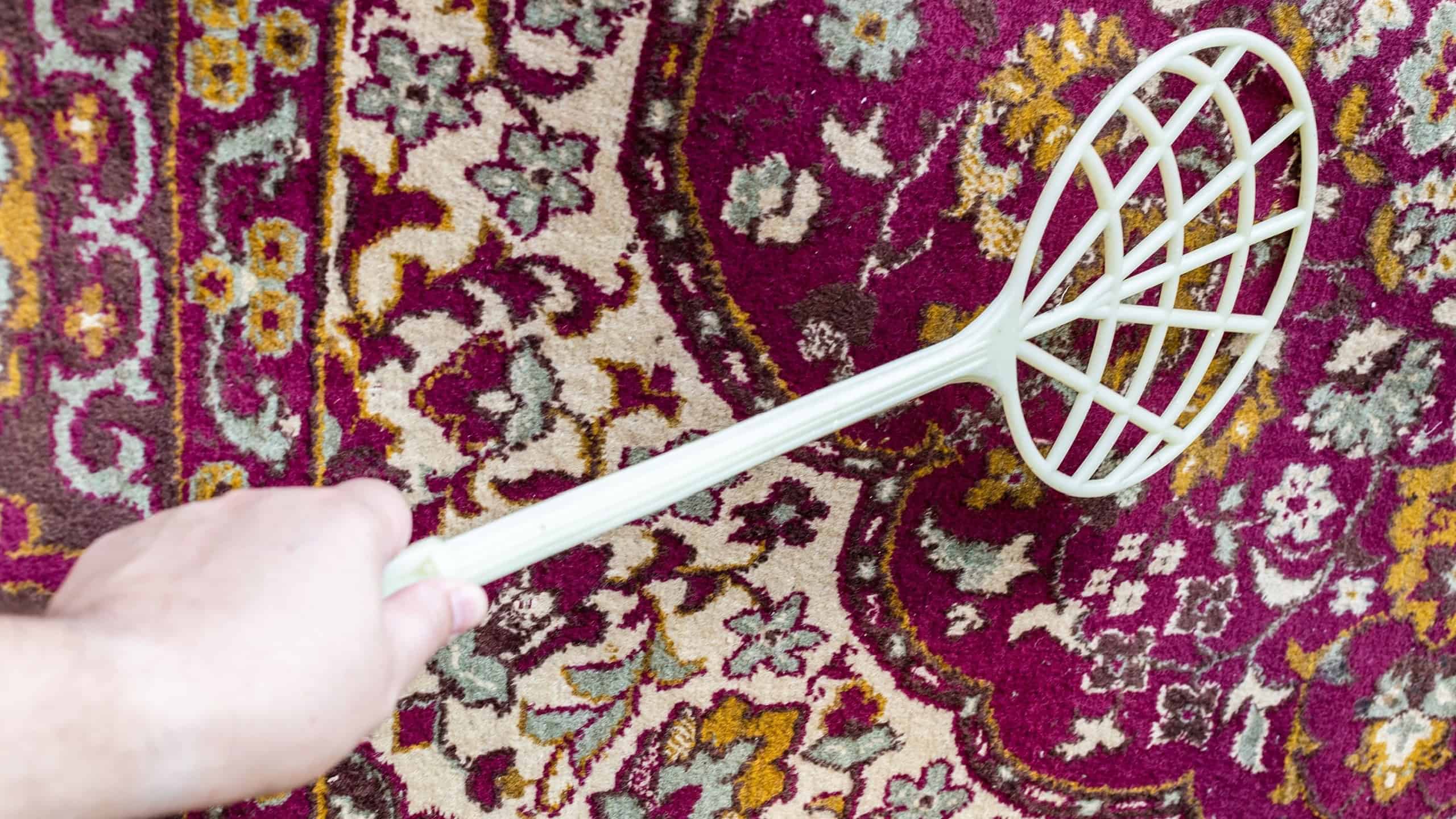 hand with plastic beater knocks dust out of old purple carpet