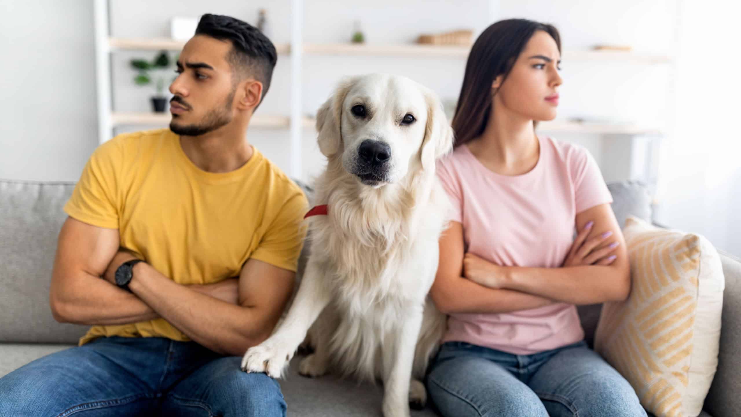 Upset young multinational couple having fight, looking in opposite directions, cute dog sitting on couch between them, indoors. Relationship crisis, marriage conflict, family problems concept