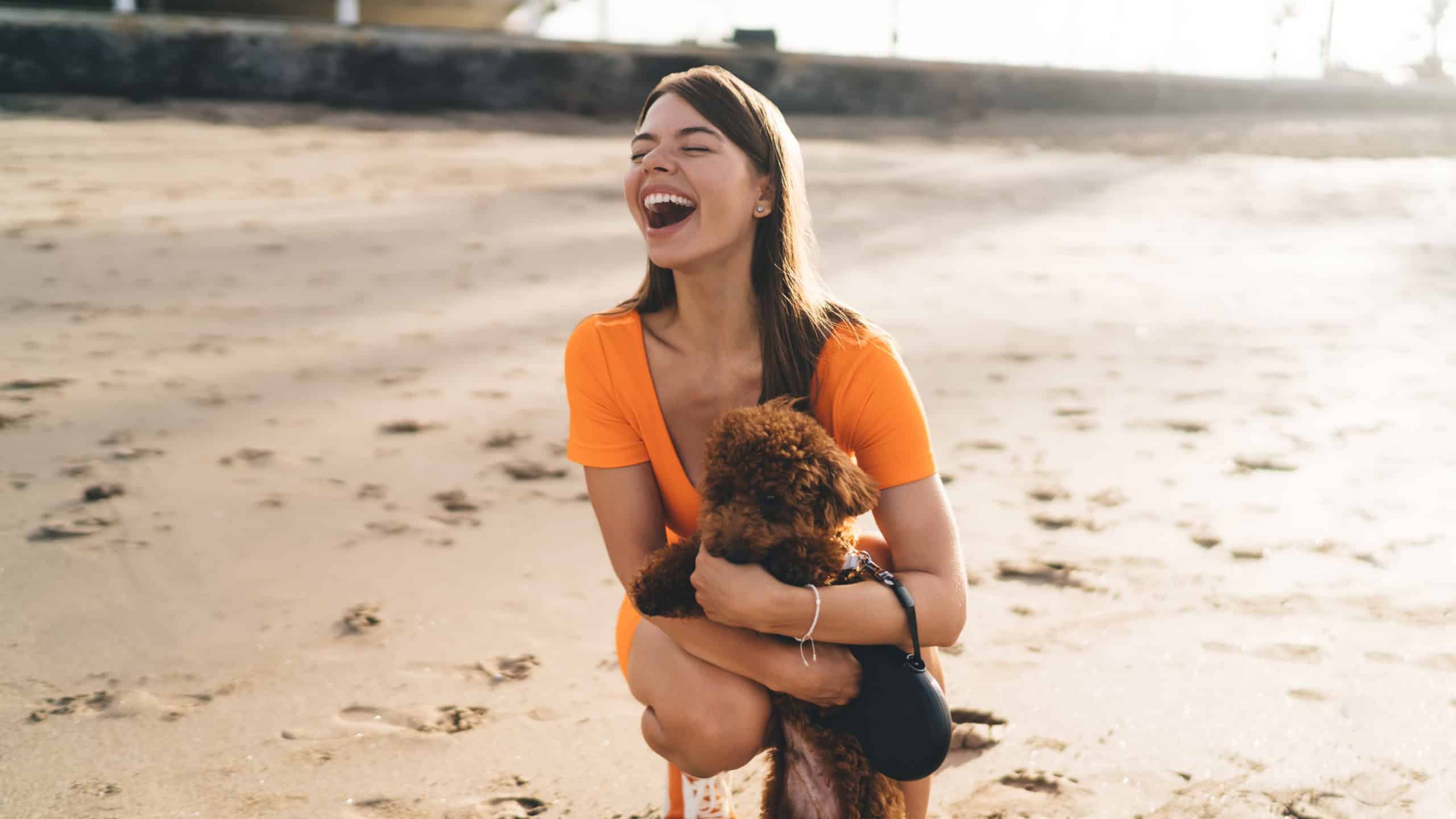 Brunette woman in orange wear fell happiness and carefreeness’s while holding small puppy dog in hands, on the beach. Best friend small dog feeling female with love emotions