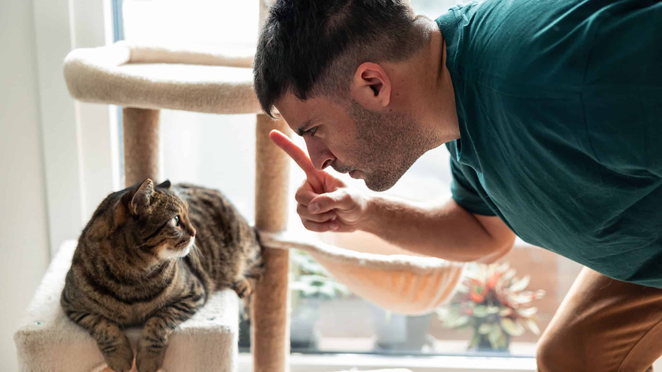 Man at home expressing disapproval to his tabby cat on a scratching post, pointing a finger to communicate boundaries and behavior in a domestic setting
