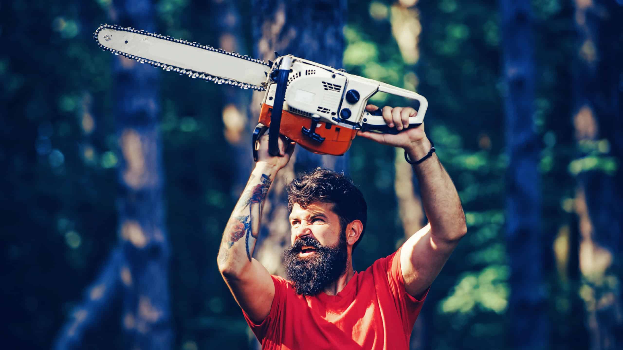Agriculture and forestry theme. Professional lumberjack holding chainsaw in the forest. Lumberjack holding the chainsaw. Woodcutter with chainsaw on sawmill