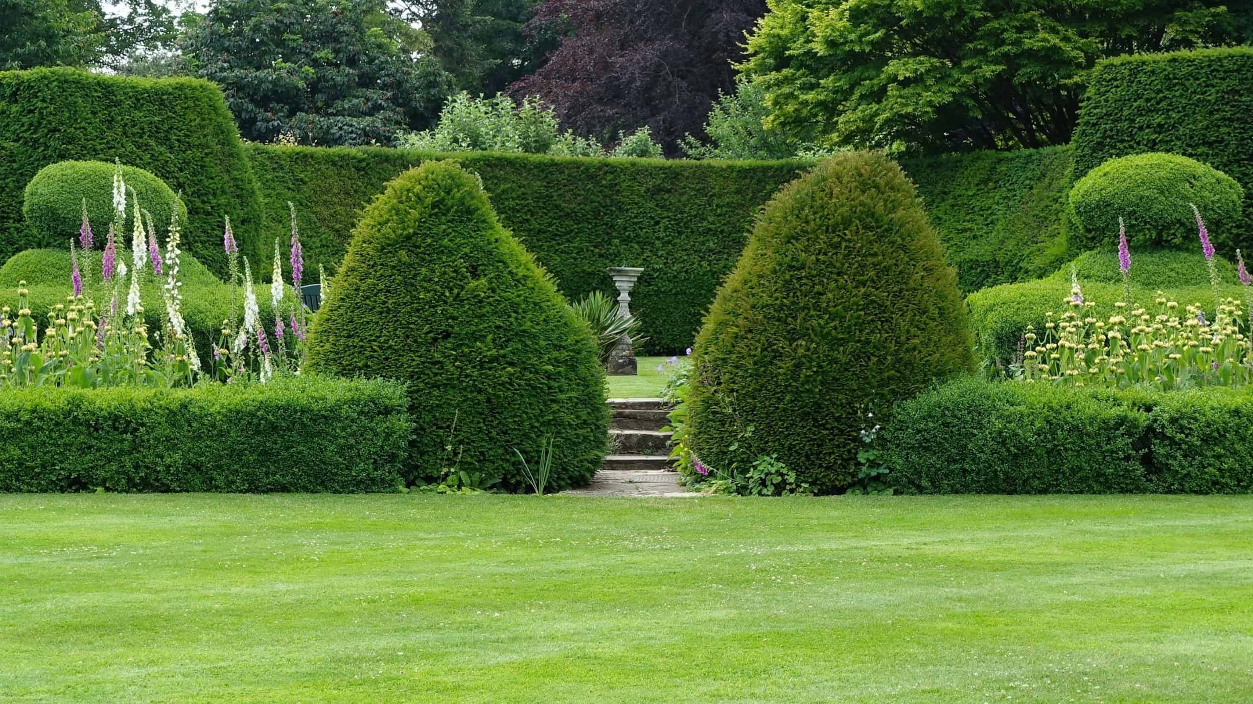 Scenic summertime view of an attractive English style landscape garden with a fresh mowed grass lawn, green leafy trees and topiary hedge - garden and nature themed photograph in colour