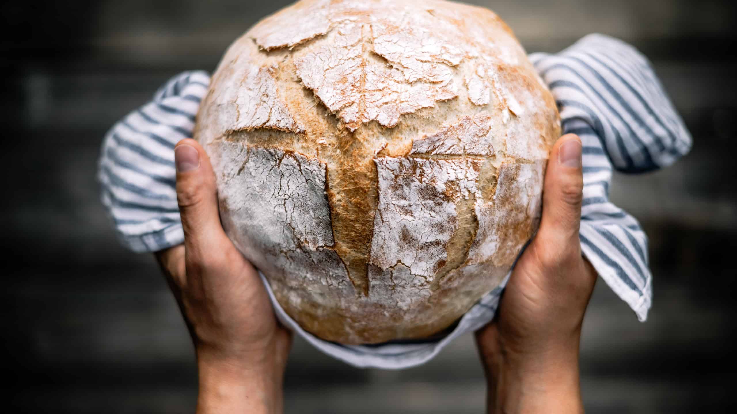 Traditional leavened sourdough bread in baker hands on a rustic wooden table. Healthy food photography