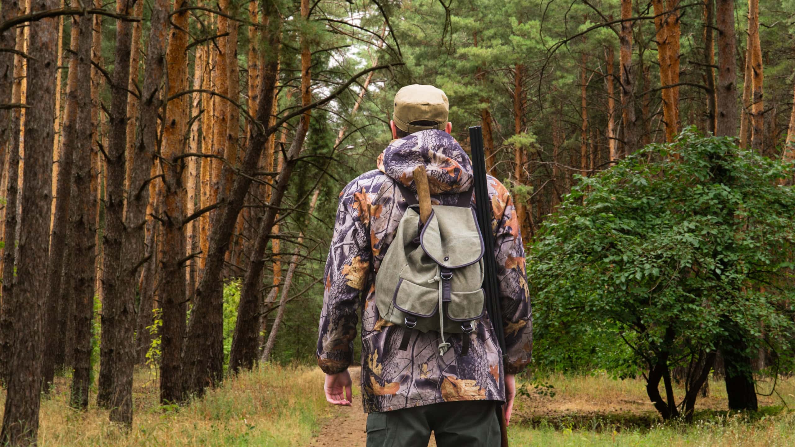 Back view of hunter with a backpack and a gun