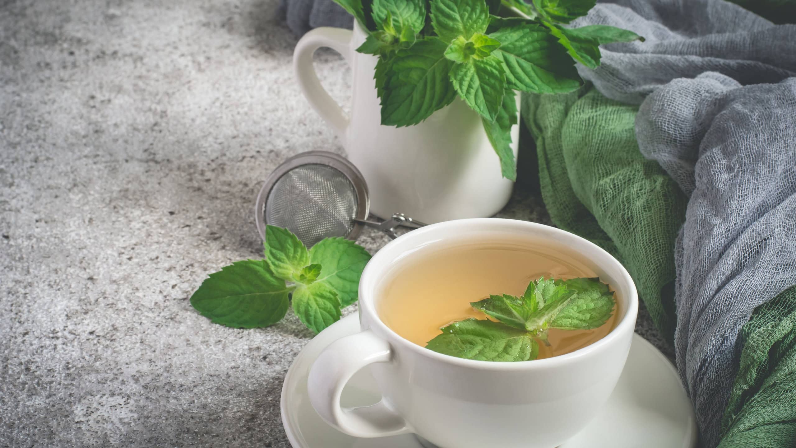 Natural mint tea and fresh mint leaves on a gray background.