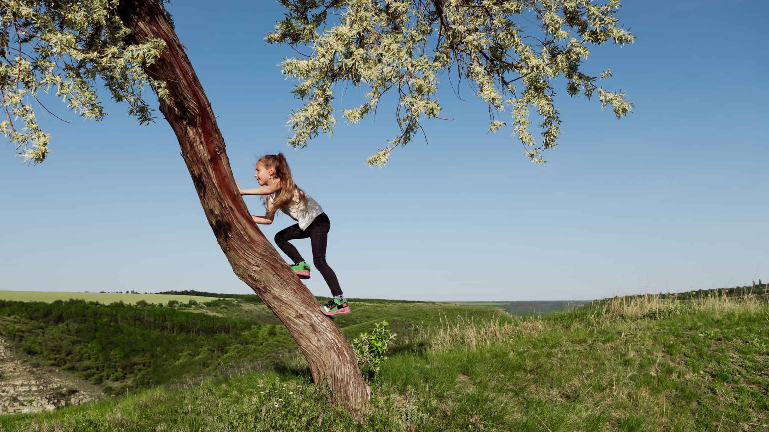 Side view of girl climbing tree trunk against cloudless blue sky while spending time on sunny summer day in nature