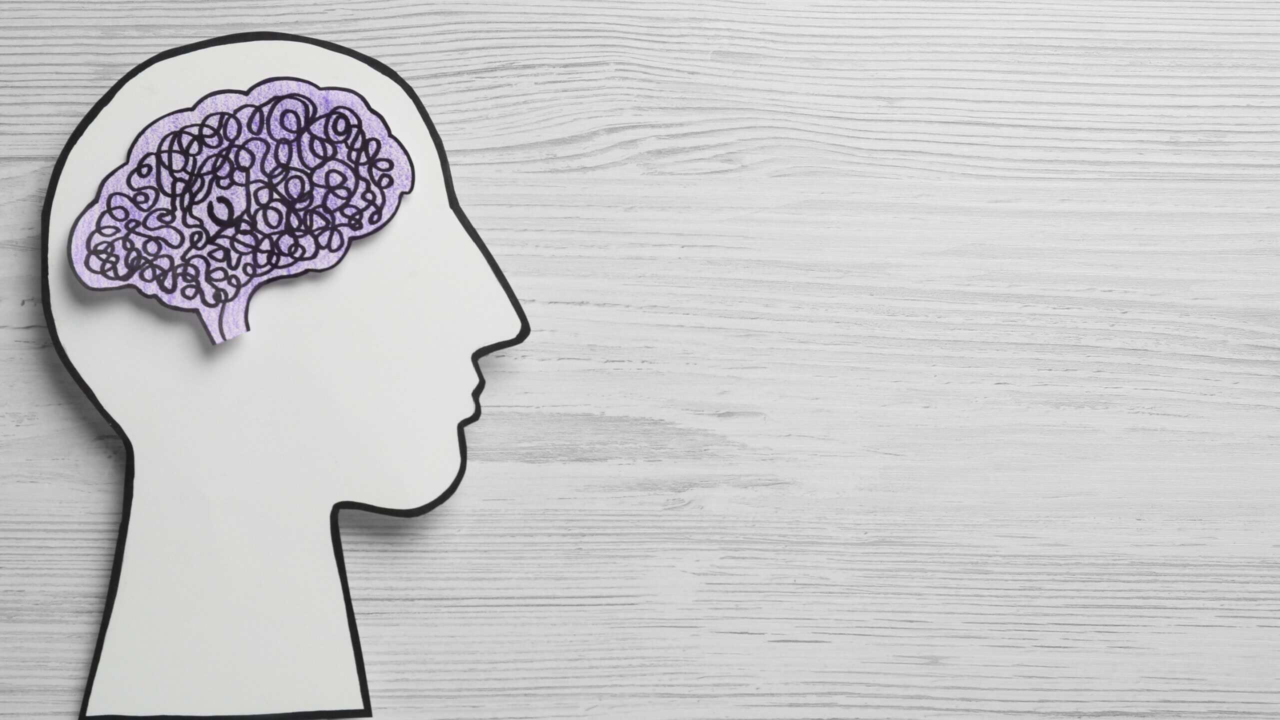 Top view of human head cutout with brain on white wooden background, space for text. Epilepsy awareness