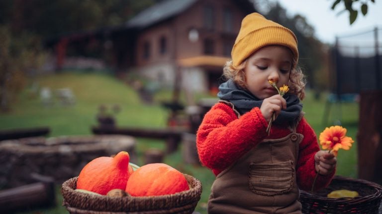 Little girl with flowers harvested organic pumpkin in eco greenhouse in spring, sustainable lifestyle.