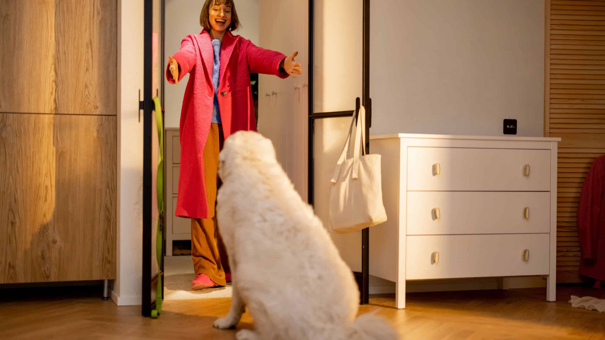 Dog meets its owner at the doorway of living room at home. Concept of a happy homecoming when your pets are waiting for you