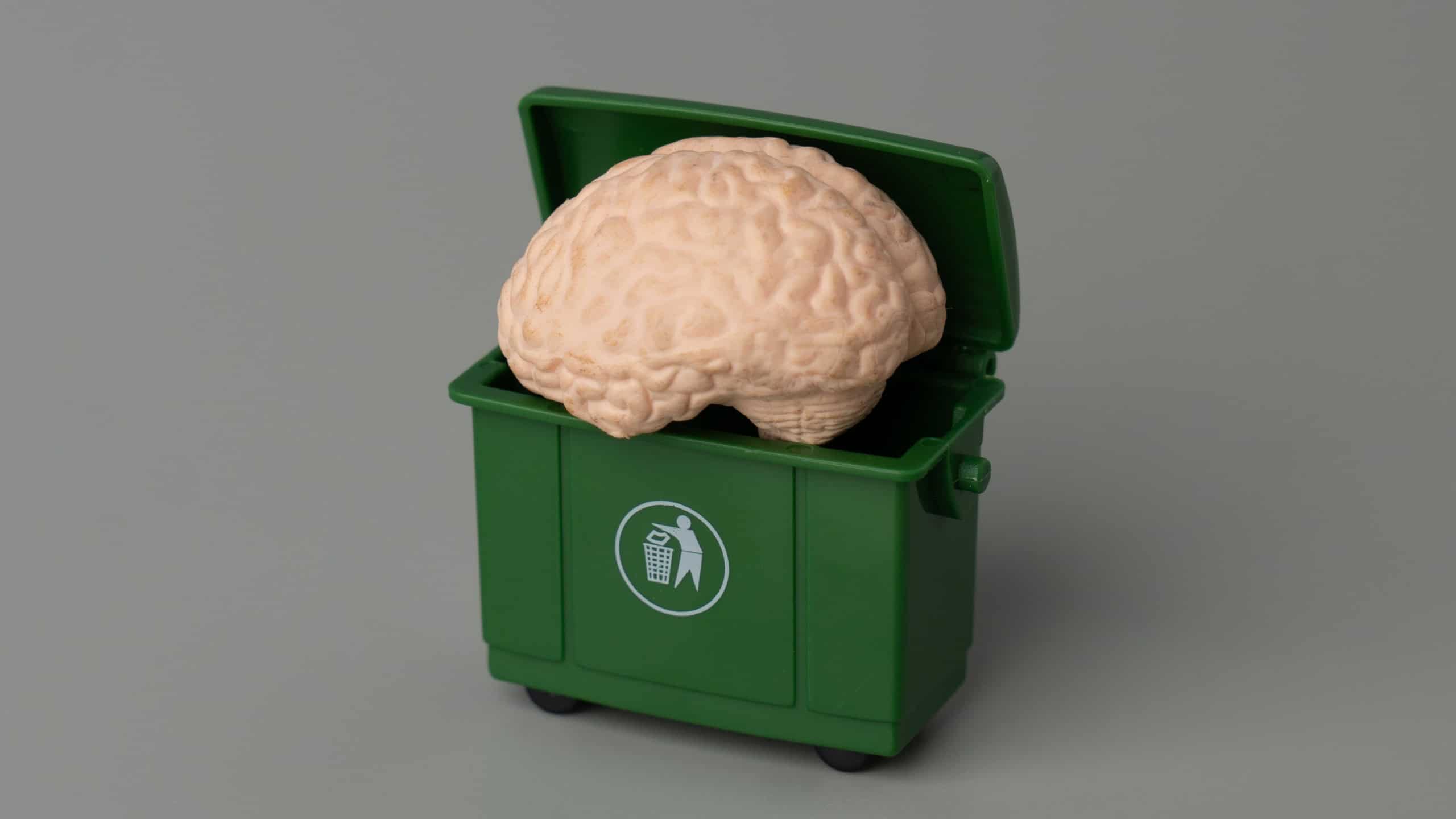 A model of a human brain is placed inside a trash bin. Mental decline, intellectual waste, forgetting, brain drain, or the discarding of ideas and knowledge concept.