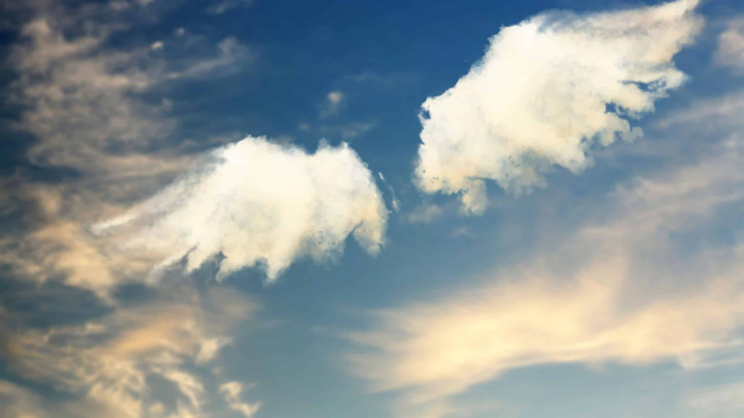 Angel wings formed with fluffy clouds in sky