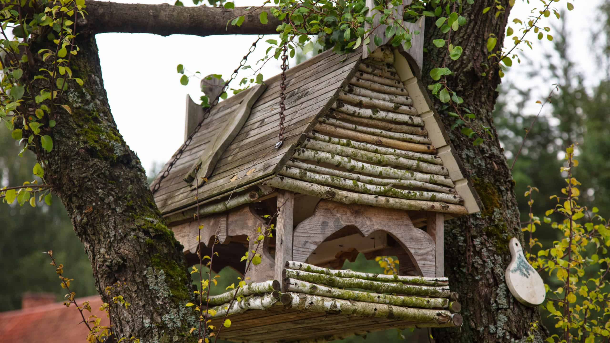 bird house hung on a tree