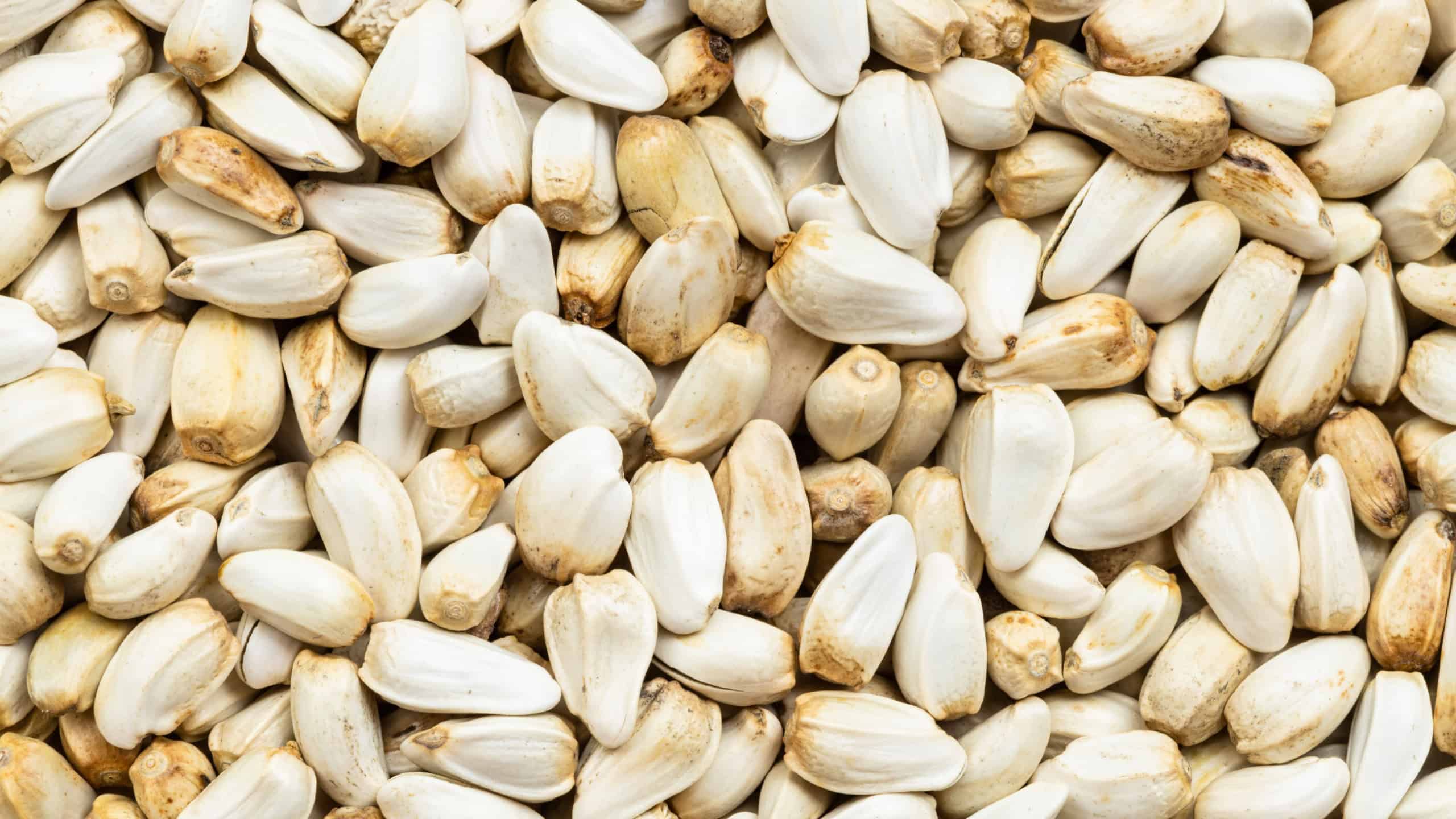 Whole safflower seeds