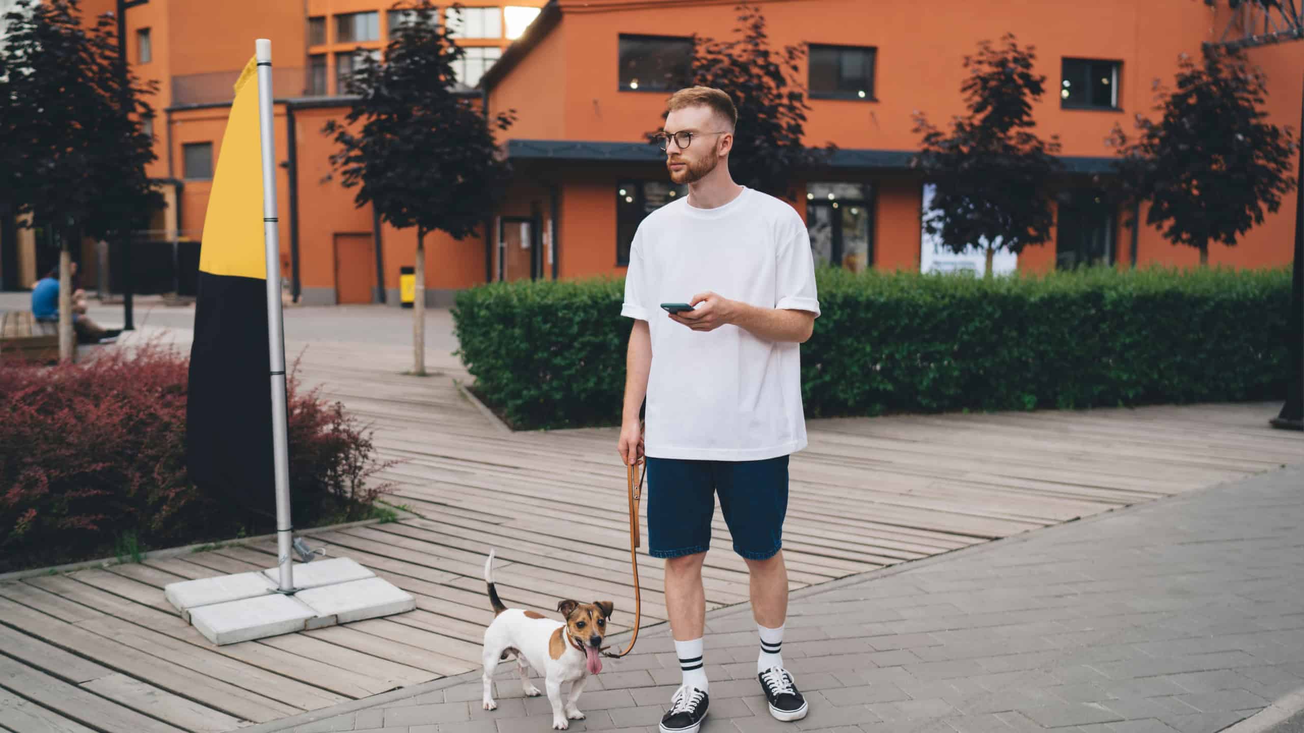 Full body of young guy in white t shirt and black shorts holding smartphone and leash with dog while looking away and standing on walkway of modern town street