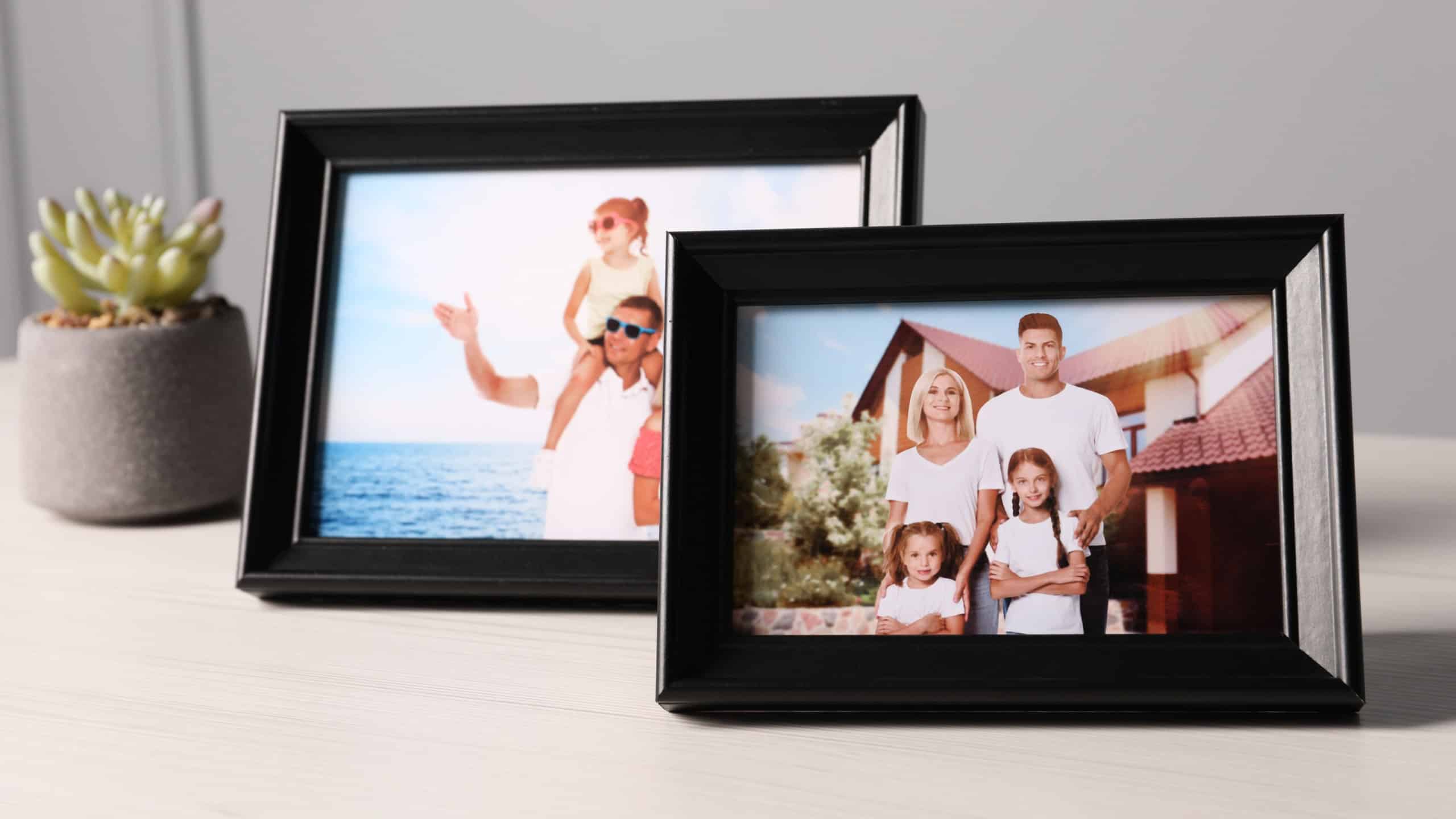 Frames with family photos and houseplant on white wooden table