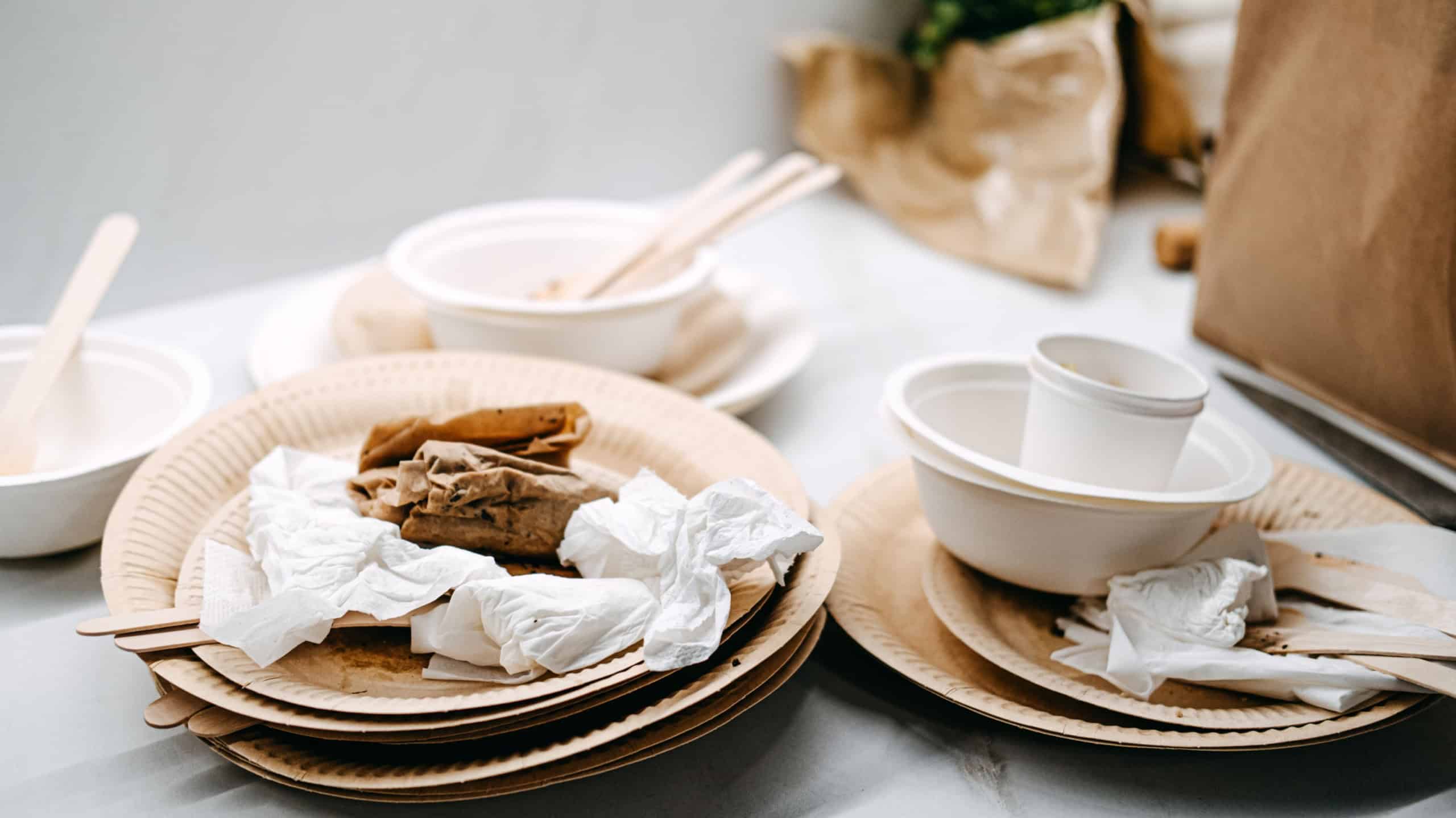 Eco-Friendly Disposable Tableware After Meal
