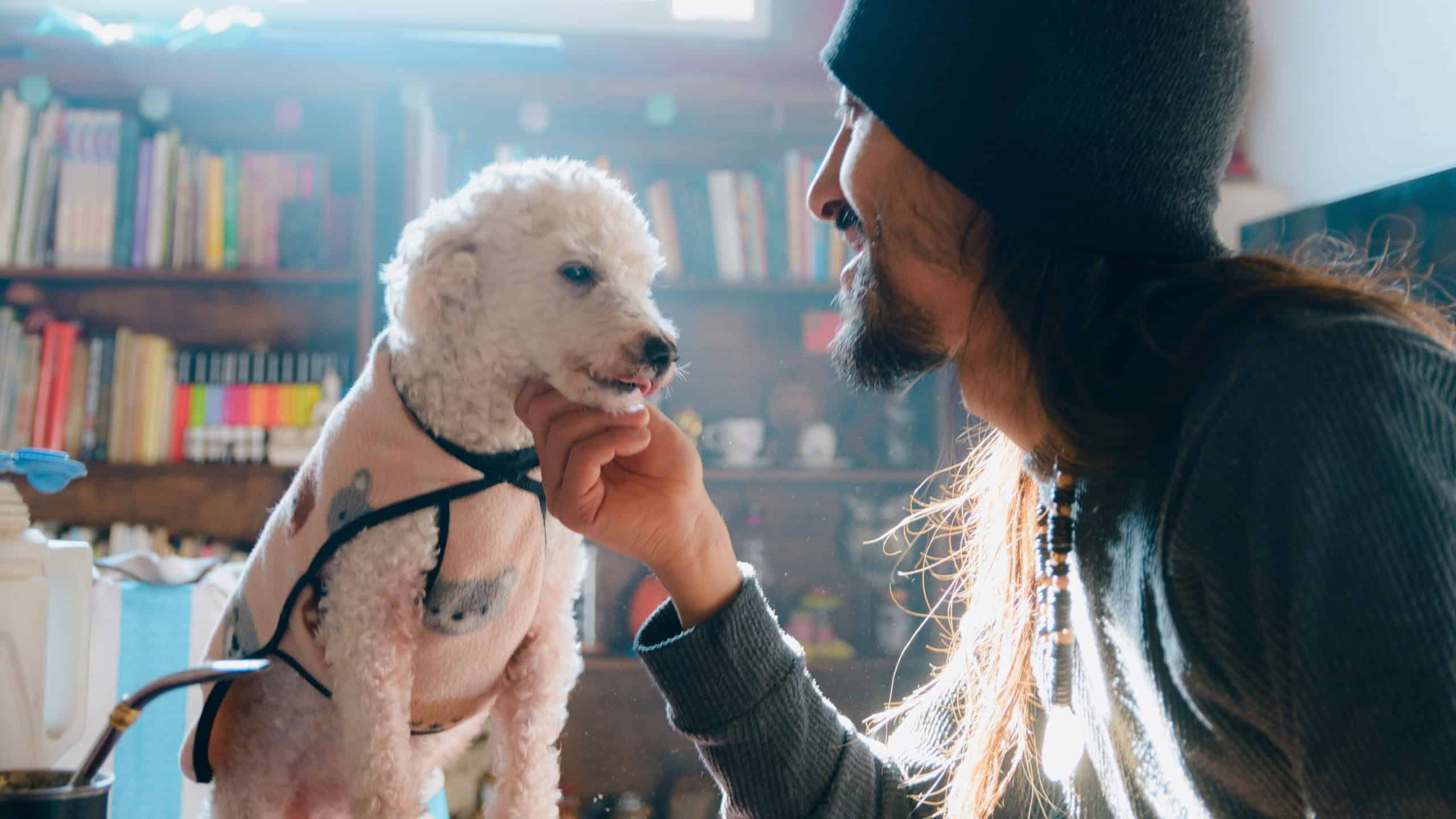 Young Argentinian man in winter clothes, happy at home petting his poodle, he smiles and strokes her chin, the man has a beard and long hair, he is wearing a balaclava.