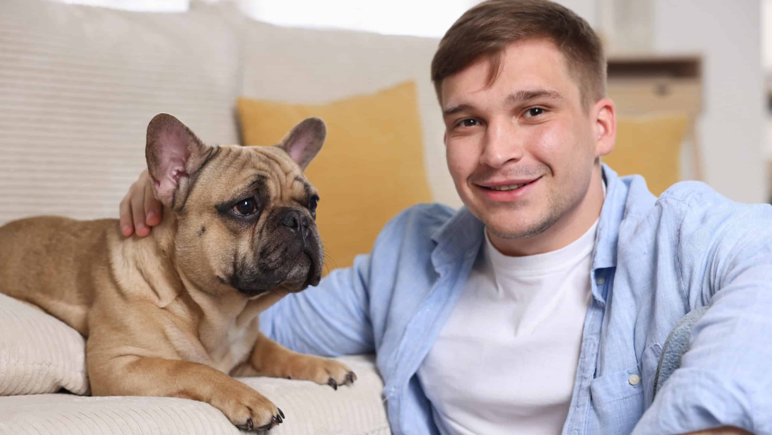 Adorable French bulldog dog and his happy owner at home