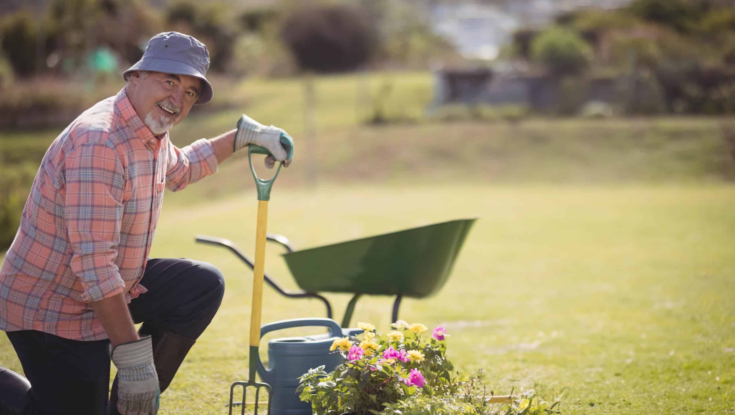Senior man kneeling on backyard lawn wearing bucket hat, using fork beside wheelbarrow, copy space. Botanical, outdoor, rustic, recreational, leisure, horticulture, serene