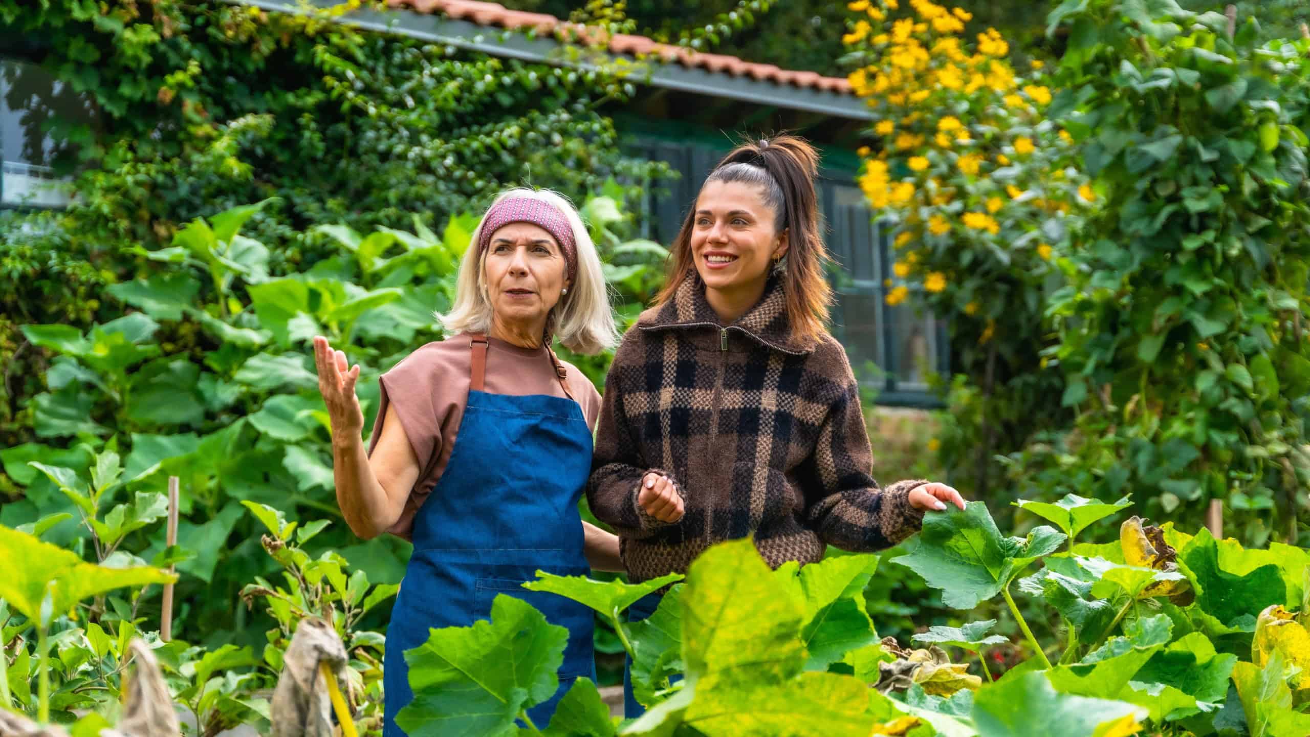 Mother and adult daughter enjoying time together in a lush green garden, the older woman teaching and sharing her gardening experience with the younger woman