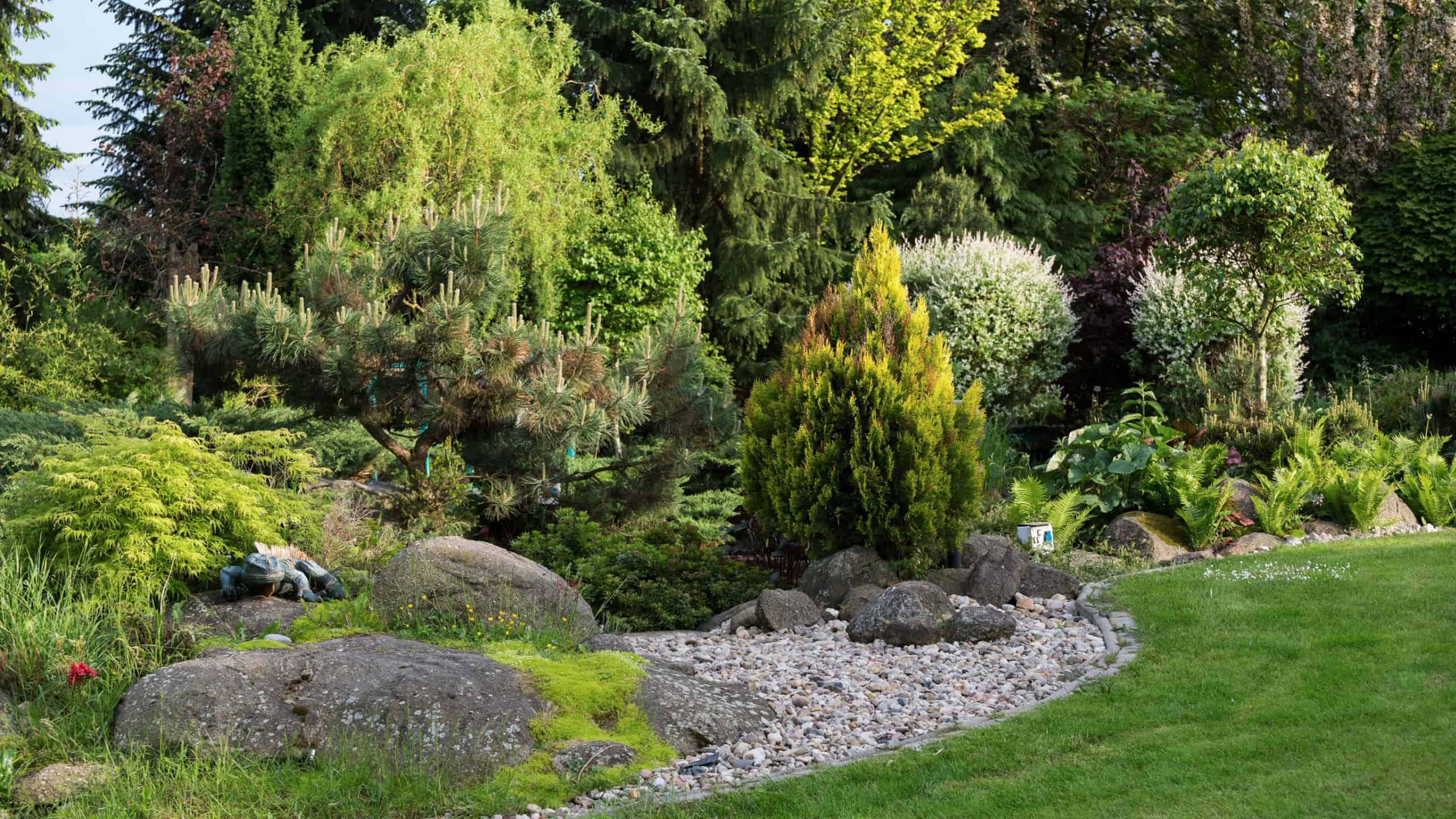 Beautiful spring garden design, with conifer trees, green grass and sun