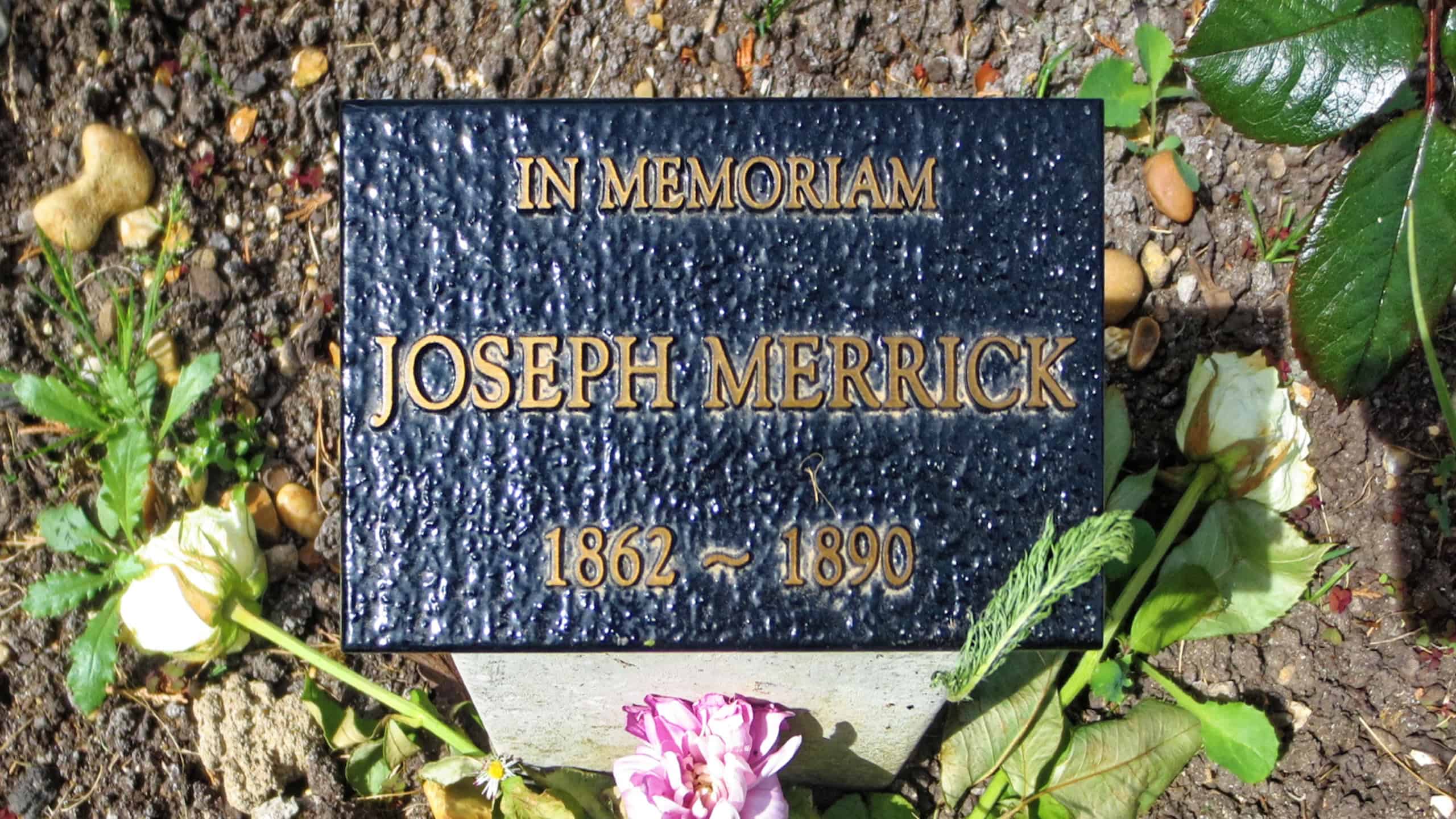 Joseph Merrick Elephant Man City of London Cemetery and Crematorium grave marker