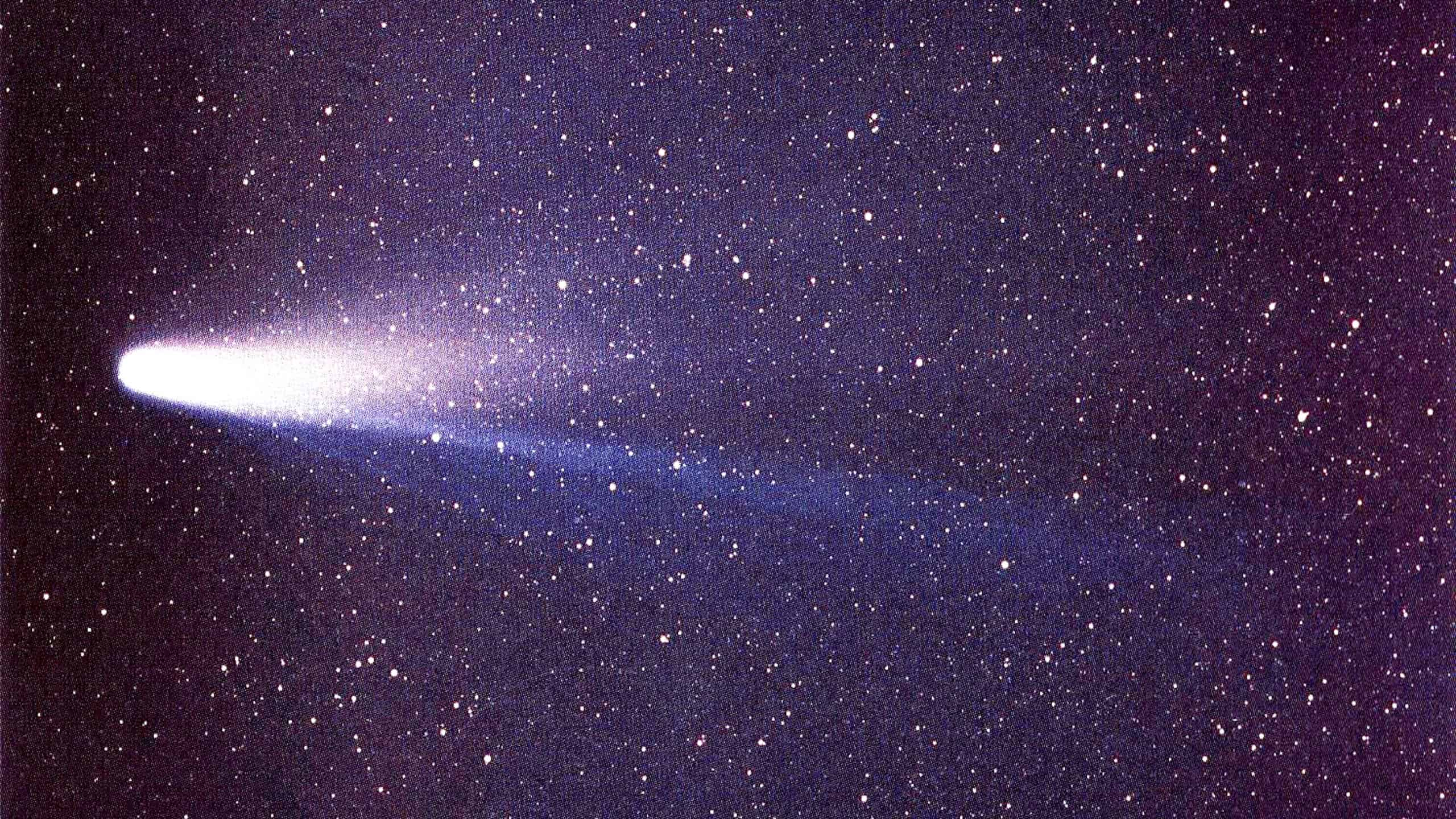 Comet 1P/Halley as taken March 8, 1986 by W. Liller, Easter Island, part of the International Halley Watch (IHW) Large Scale Phenomena Network.