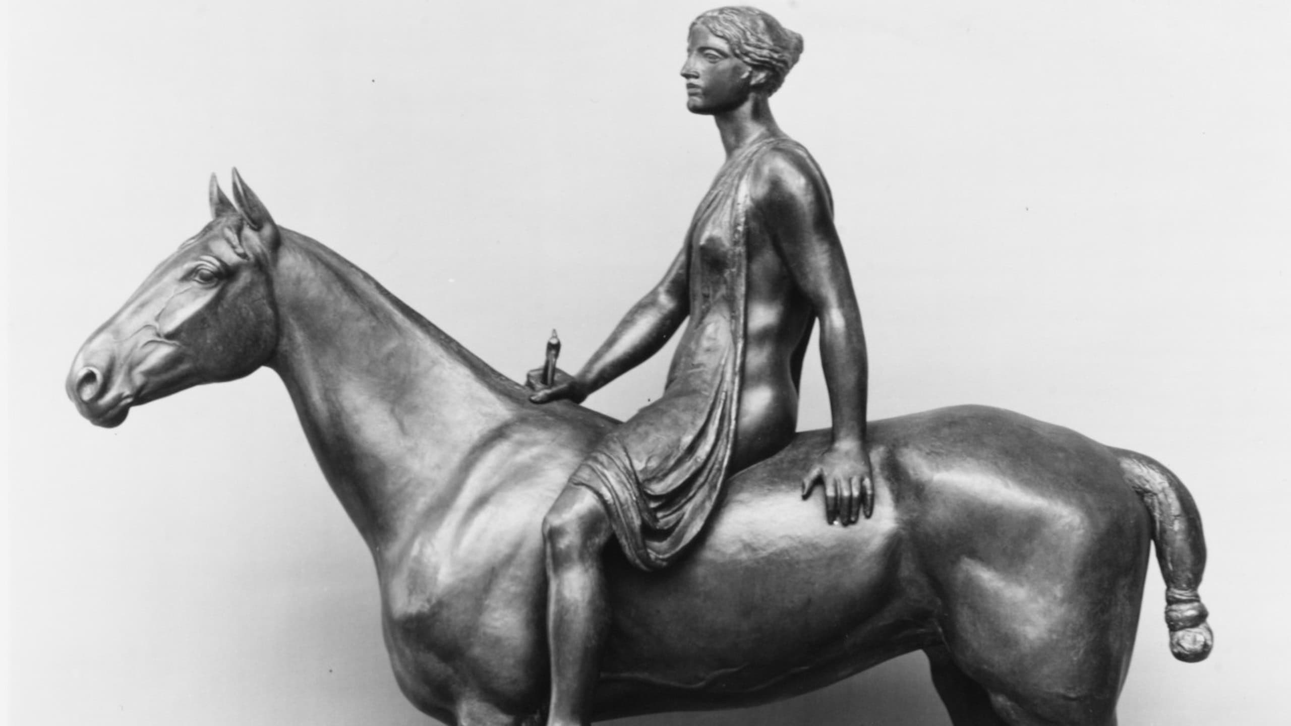 Mounted Amazon