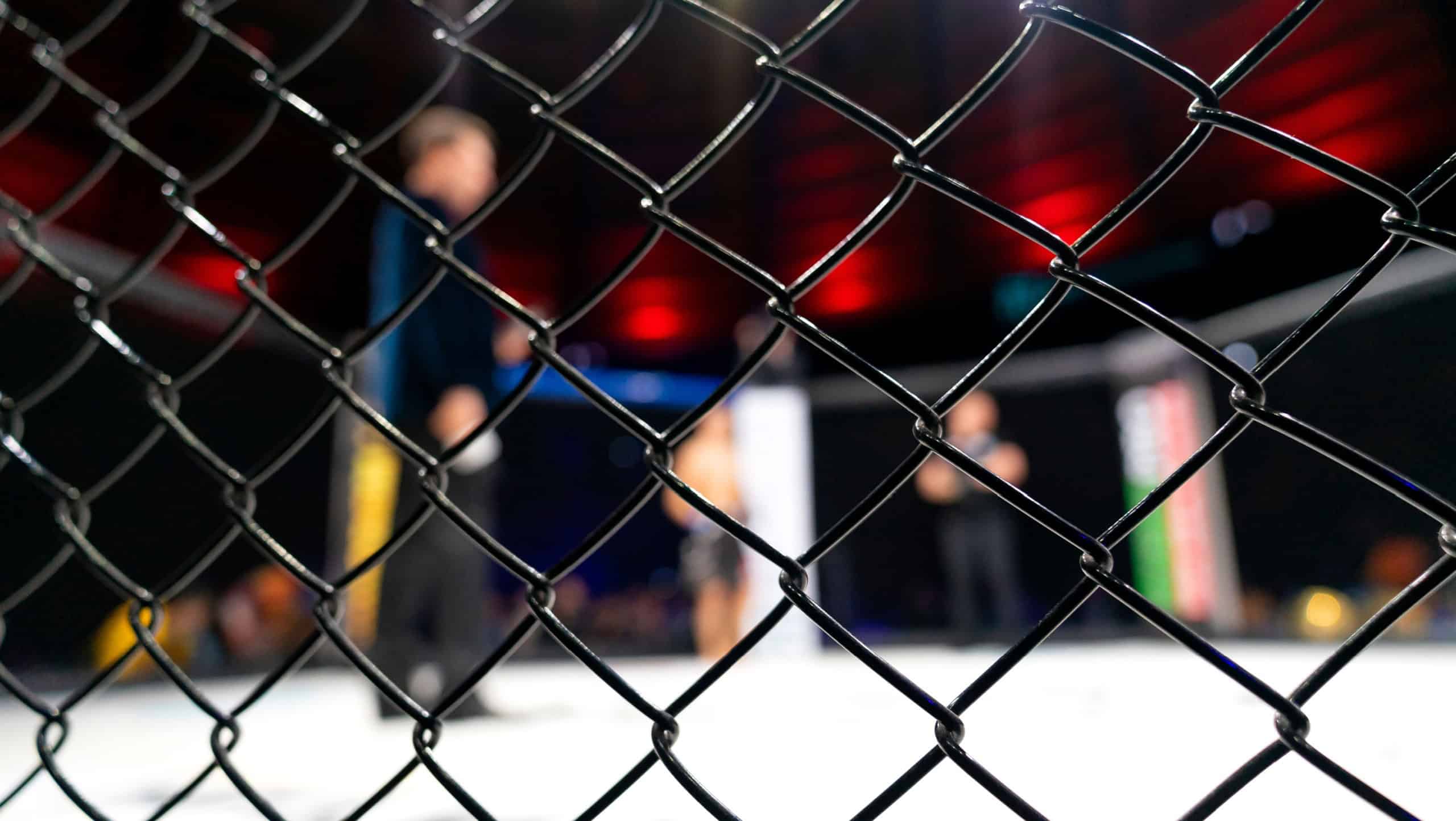 Fight cage arena, mixed martial arts mma championship with blur background.