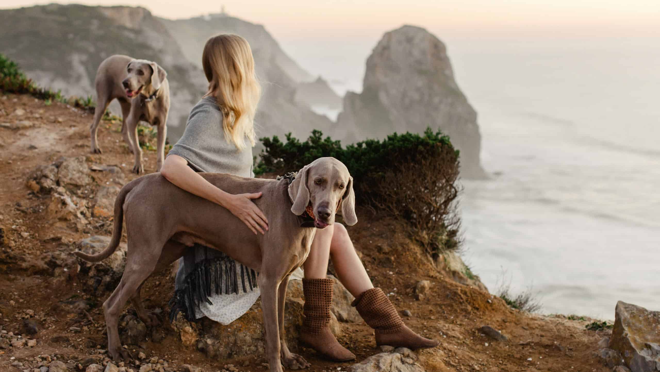 A closeup shot of a young female with two Weimaraner dogs on a seashore