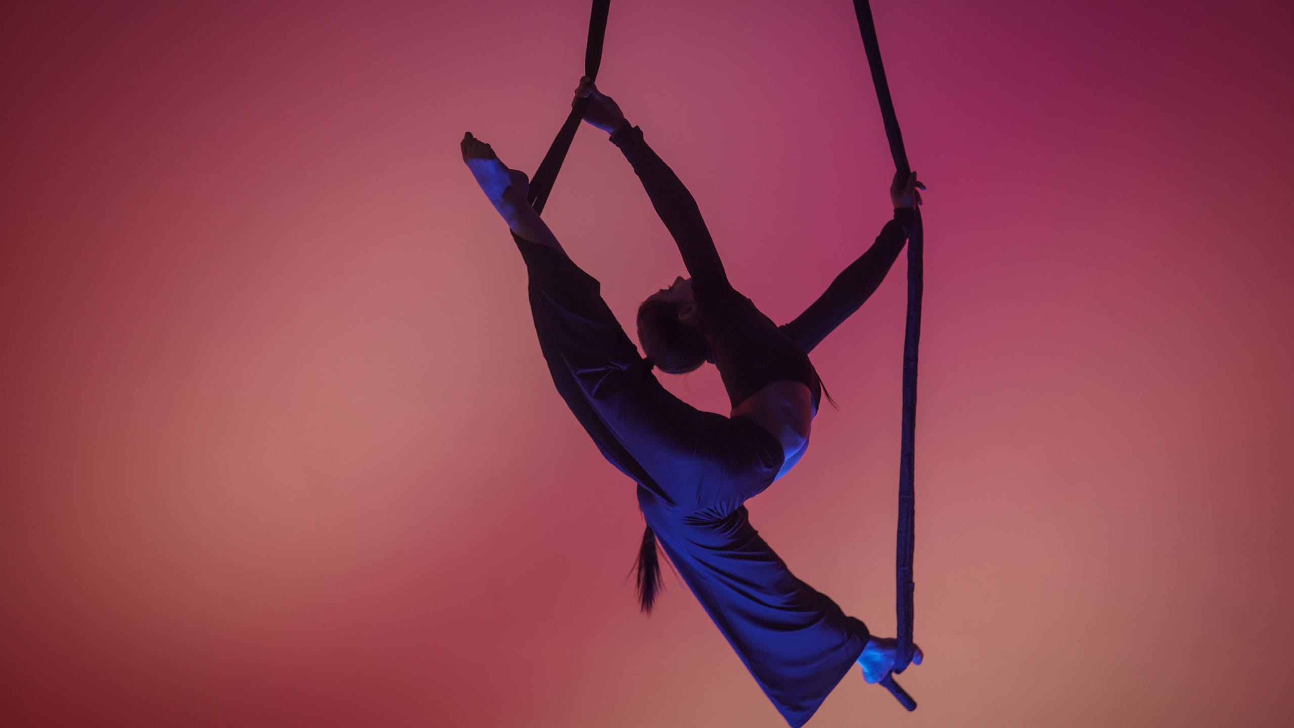 An acrobatic girl demonstrates stretching in twine on an acrobatic trapeze. Acrobatic athlete performing acrobatic stunts at height in studio with pink light.
