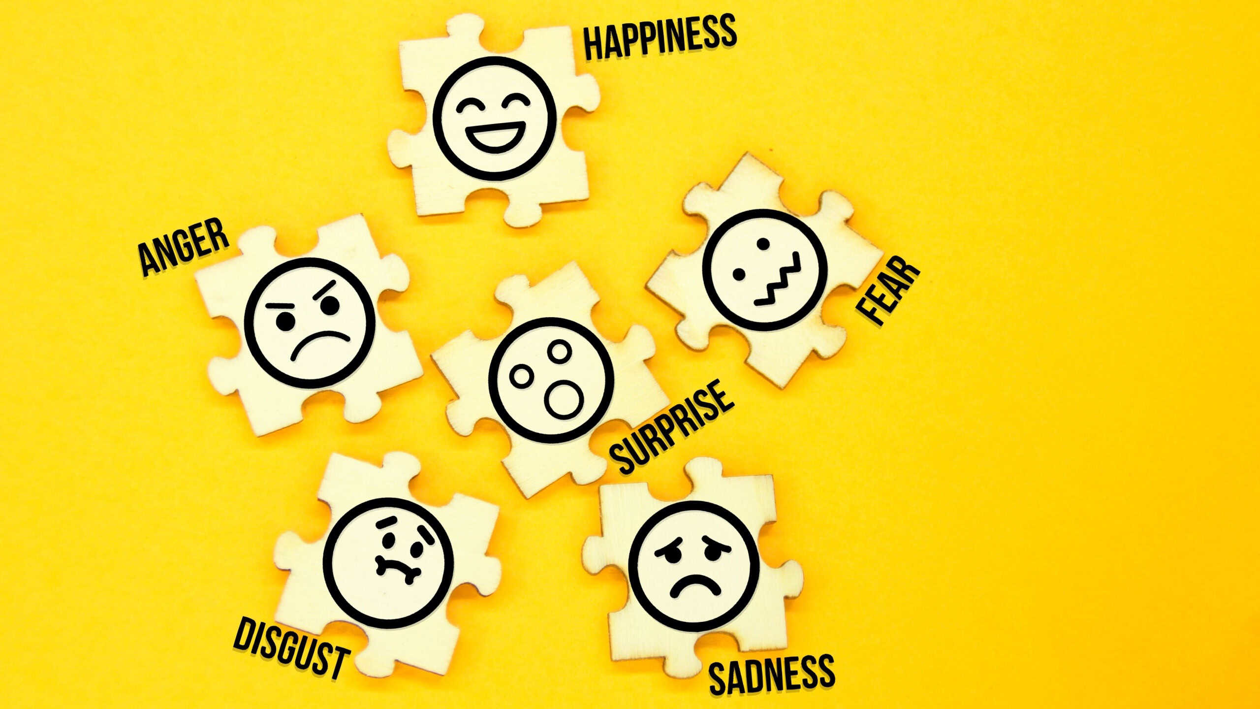 wooden puzzle with icons of 6 facial expressions and the words anger, happiness, fear, surprise, disgust and sadness