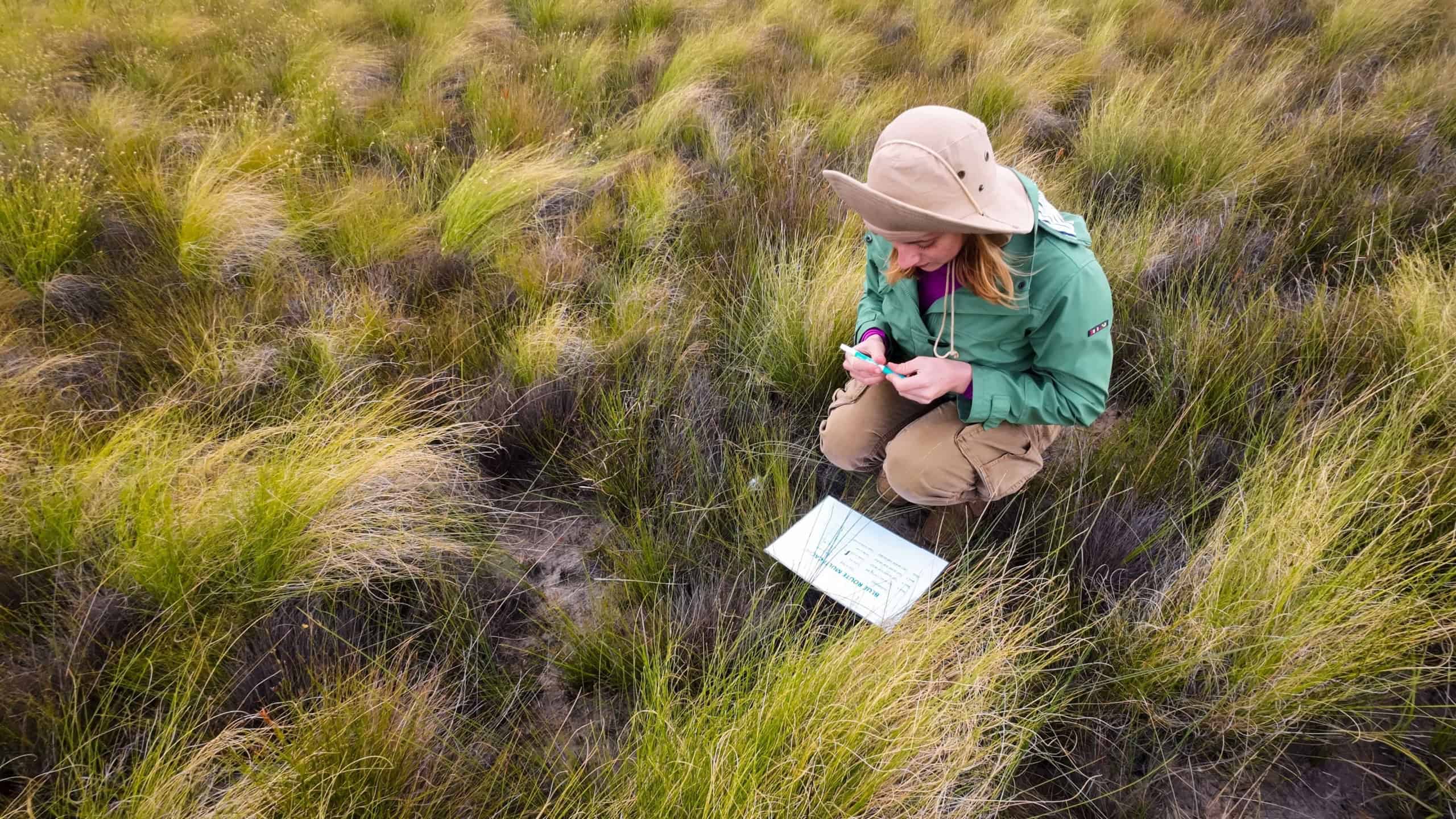 A young woman in outdoor gear studies plant samples in a grassy field, representing field research and environmental studies.