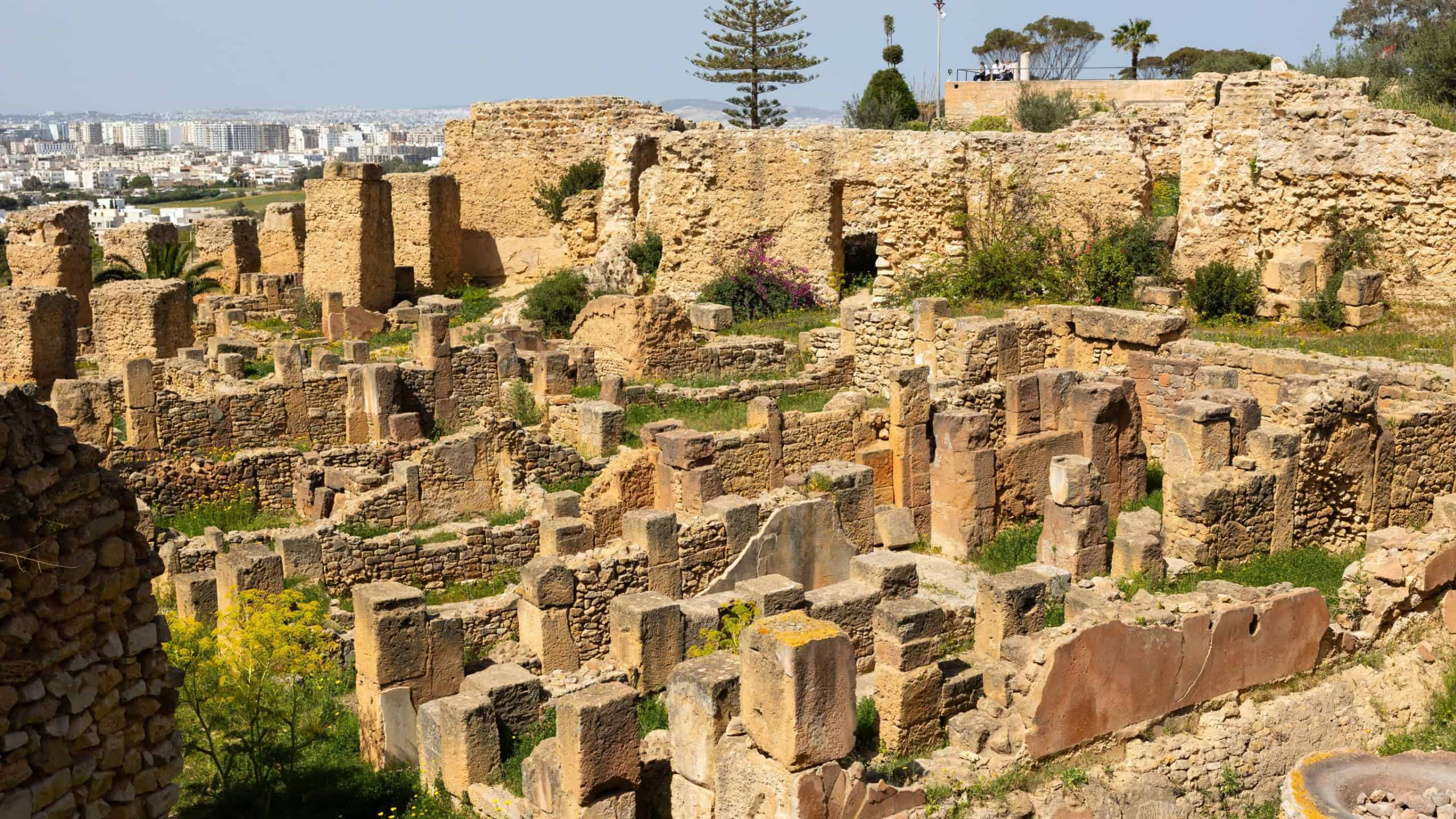 Ruins of the house of Hannibal at the excavations of Carthage