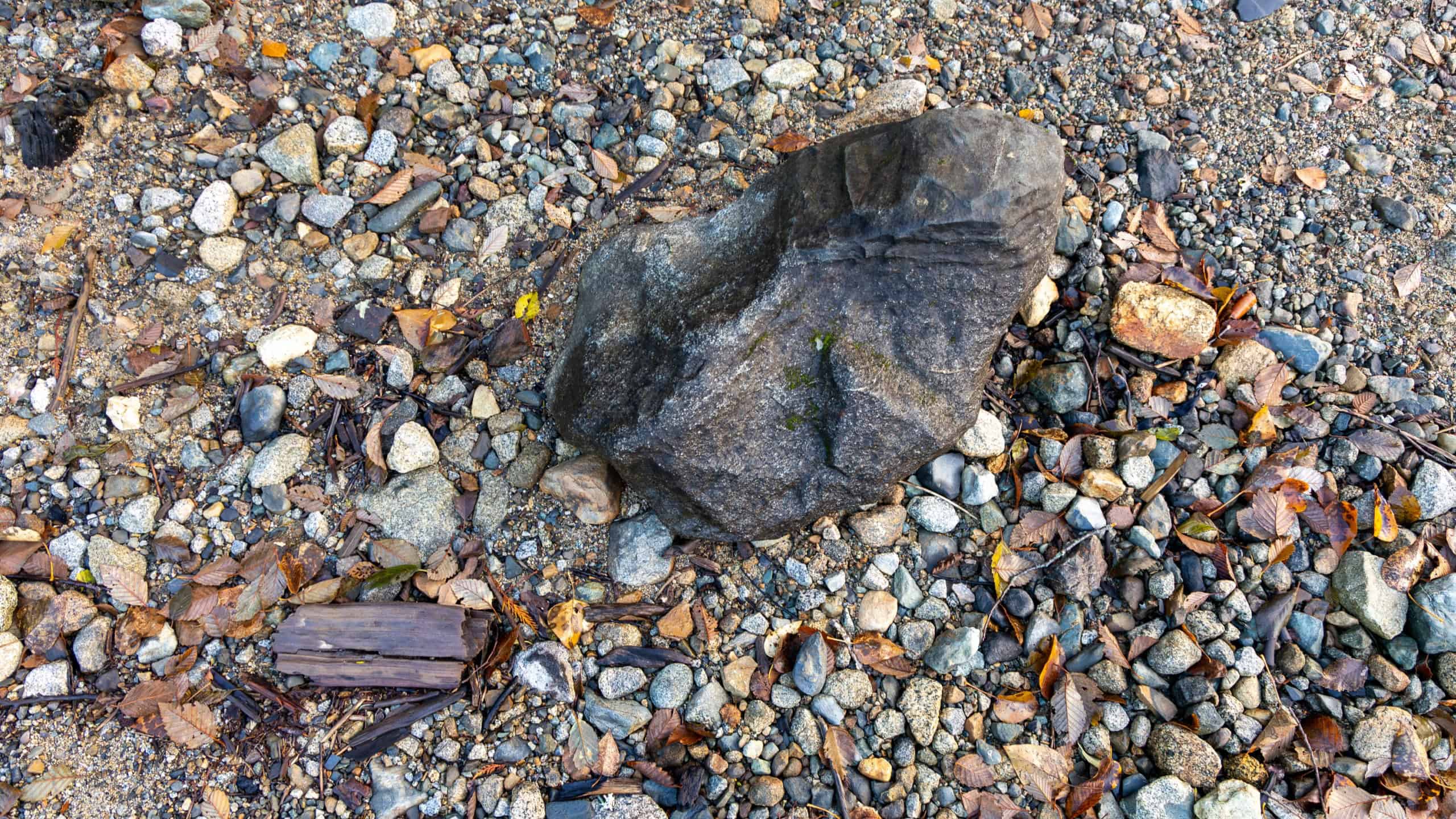 Textured rocks and pebbles with fallen leaves on a natural gravel ground