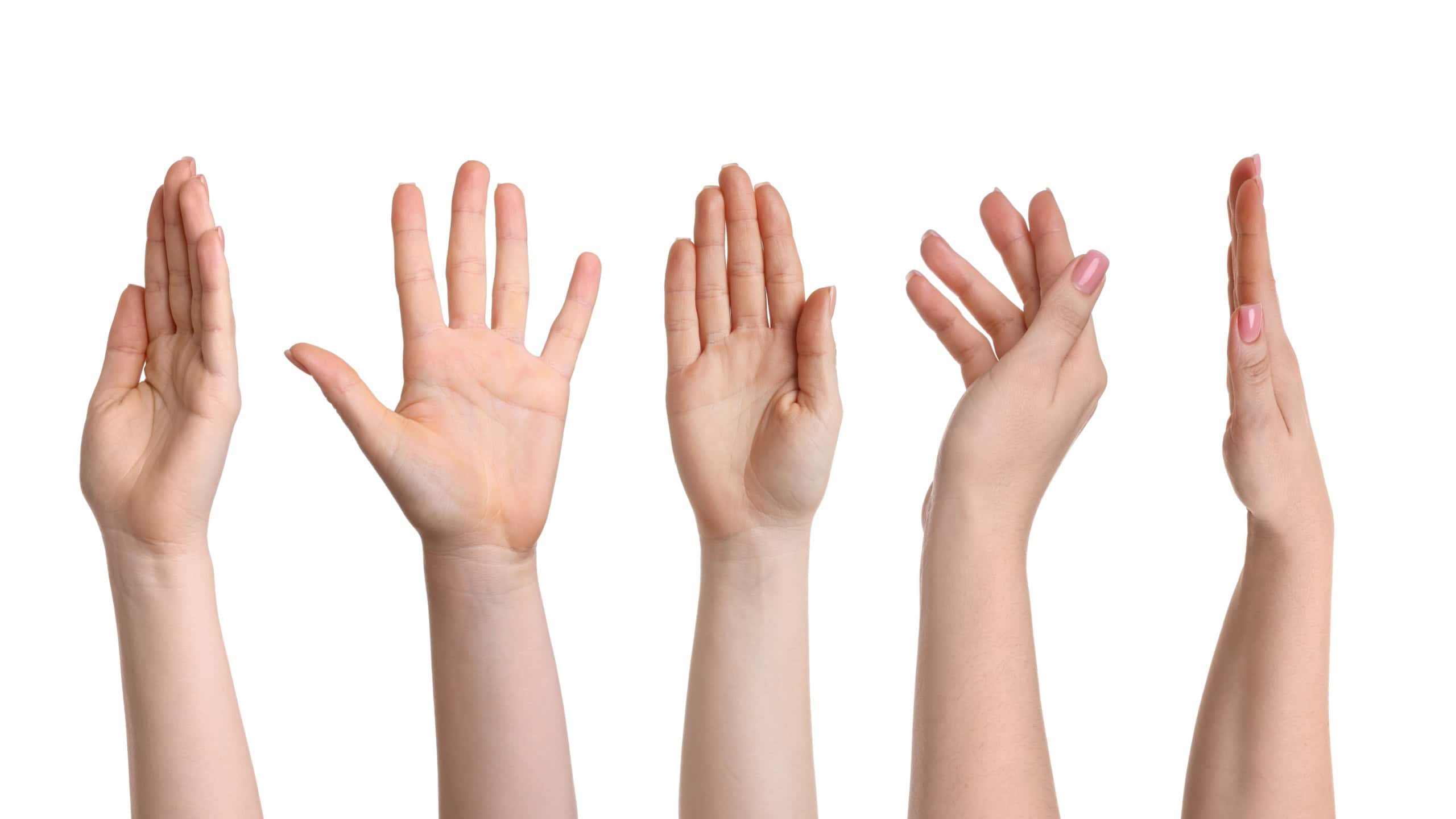 Female hands isolated on white, collection of photos