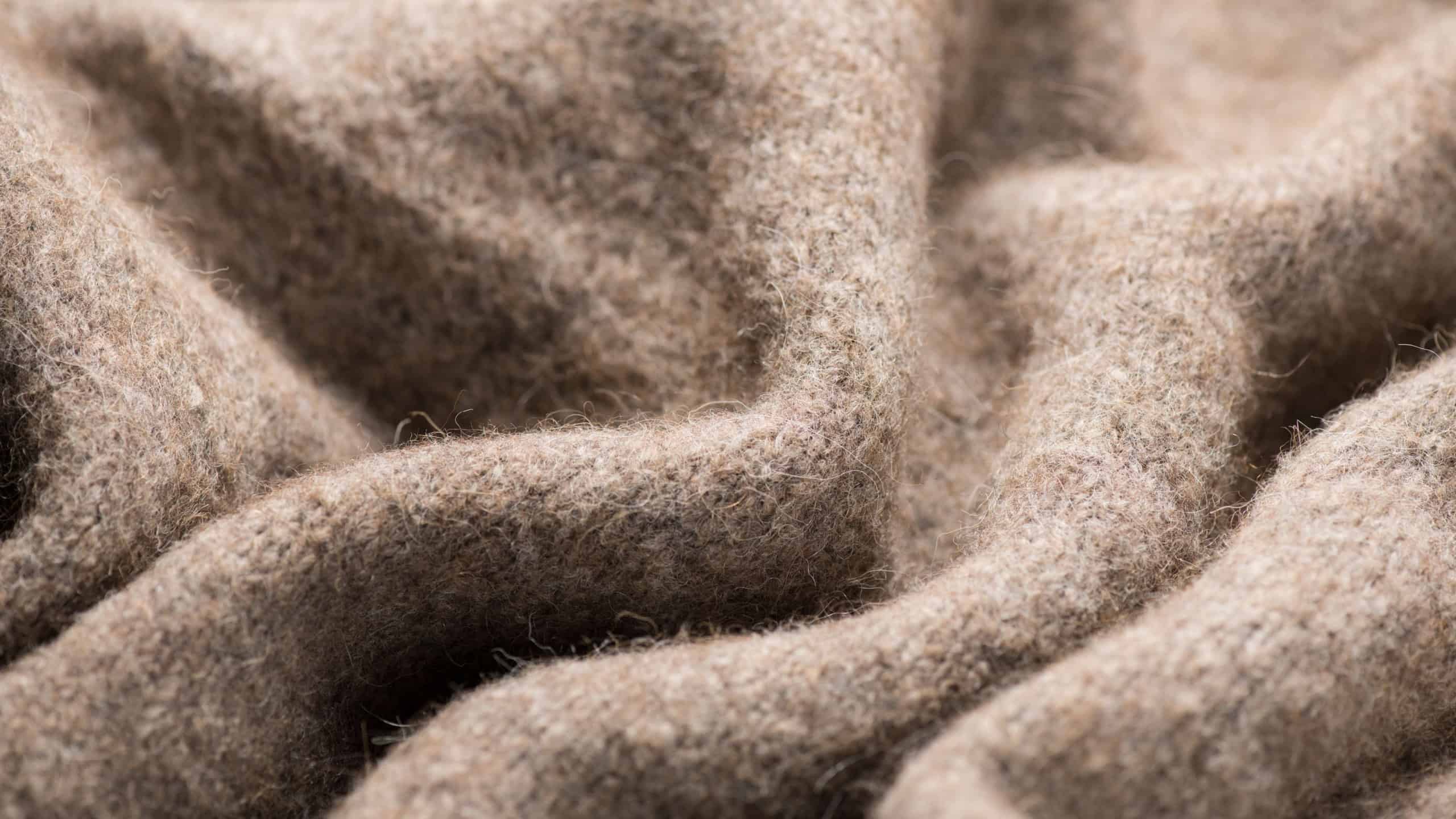 Real Wool knitted background. Natural beige color wool mohair clothes texture closeup. Cashmere Soft and fluffy merino wool macro shot. Woolen fabric backdrop.