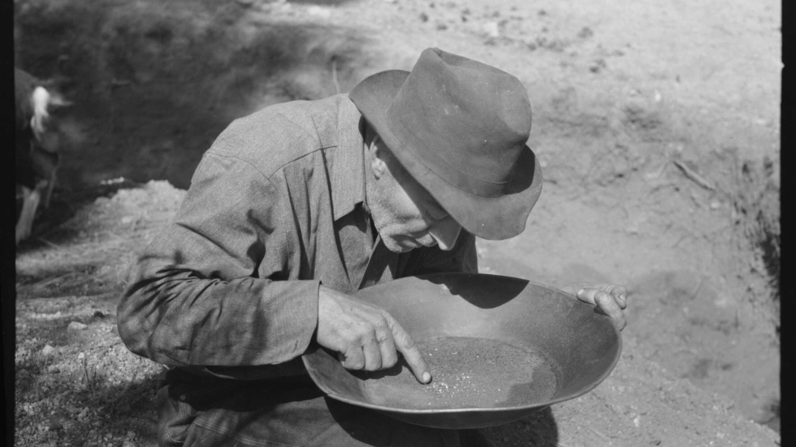 Prospector pointing to flecks of gold in his pan.