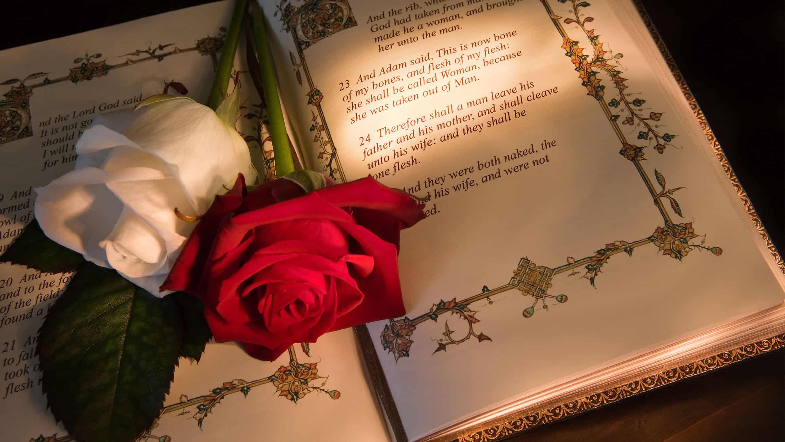 Roses and bible with Genesis text of Adam and Eve, a typical wedding text - the book illustration is copied from a 400 years old bible.