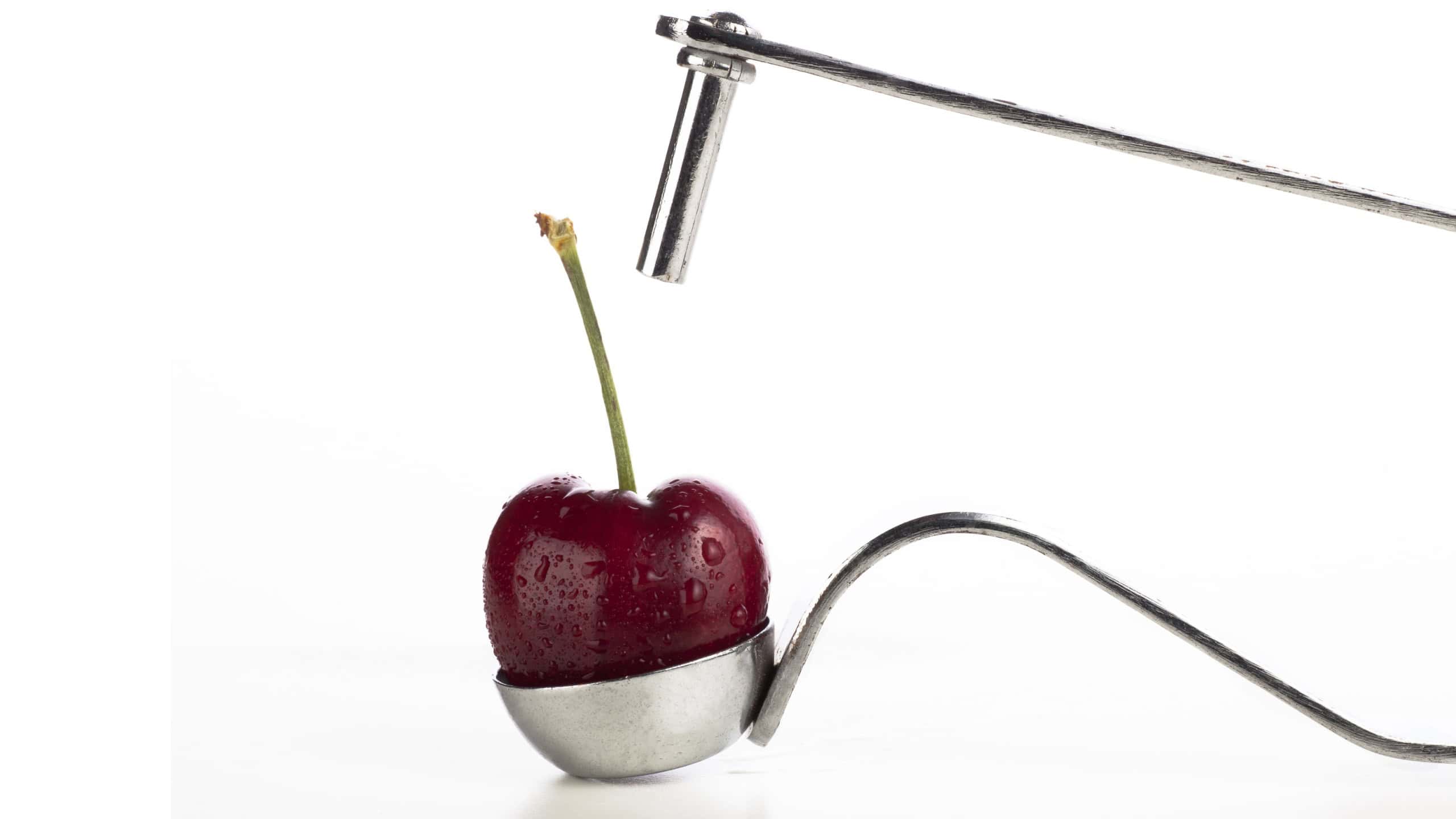 Raw sweet cherry in cherry corer isolated on white background.