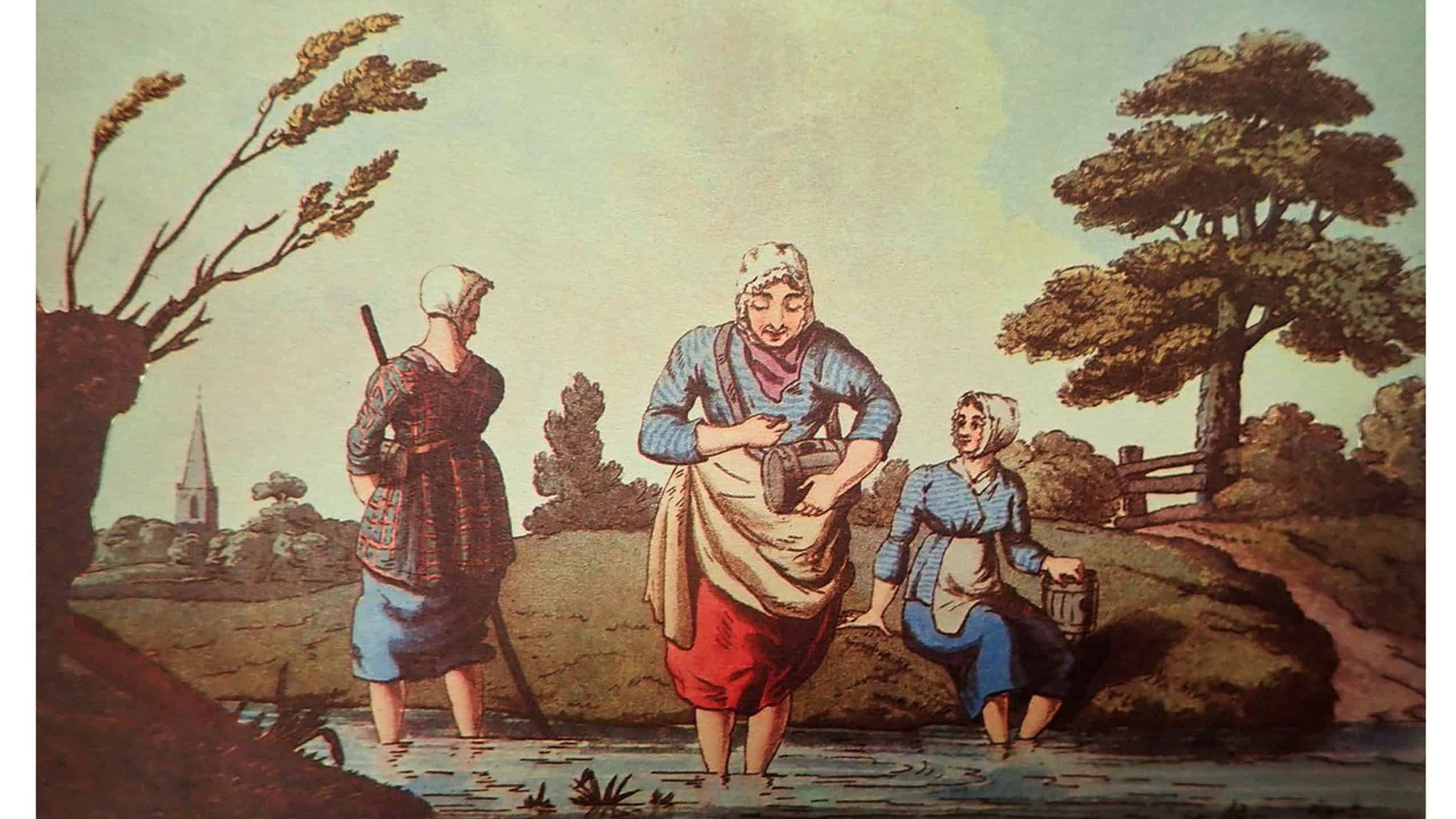 Department of Nasty Jobs -- Leech Collectors (51038121246)