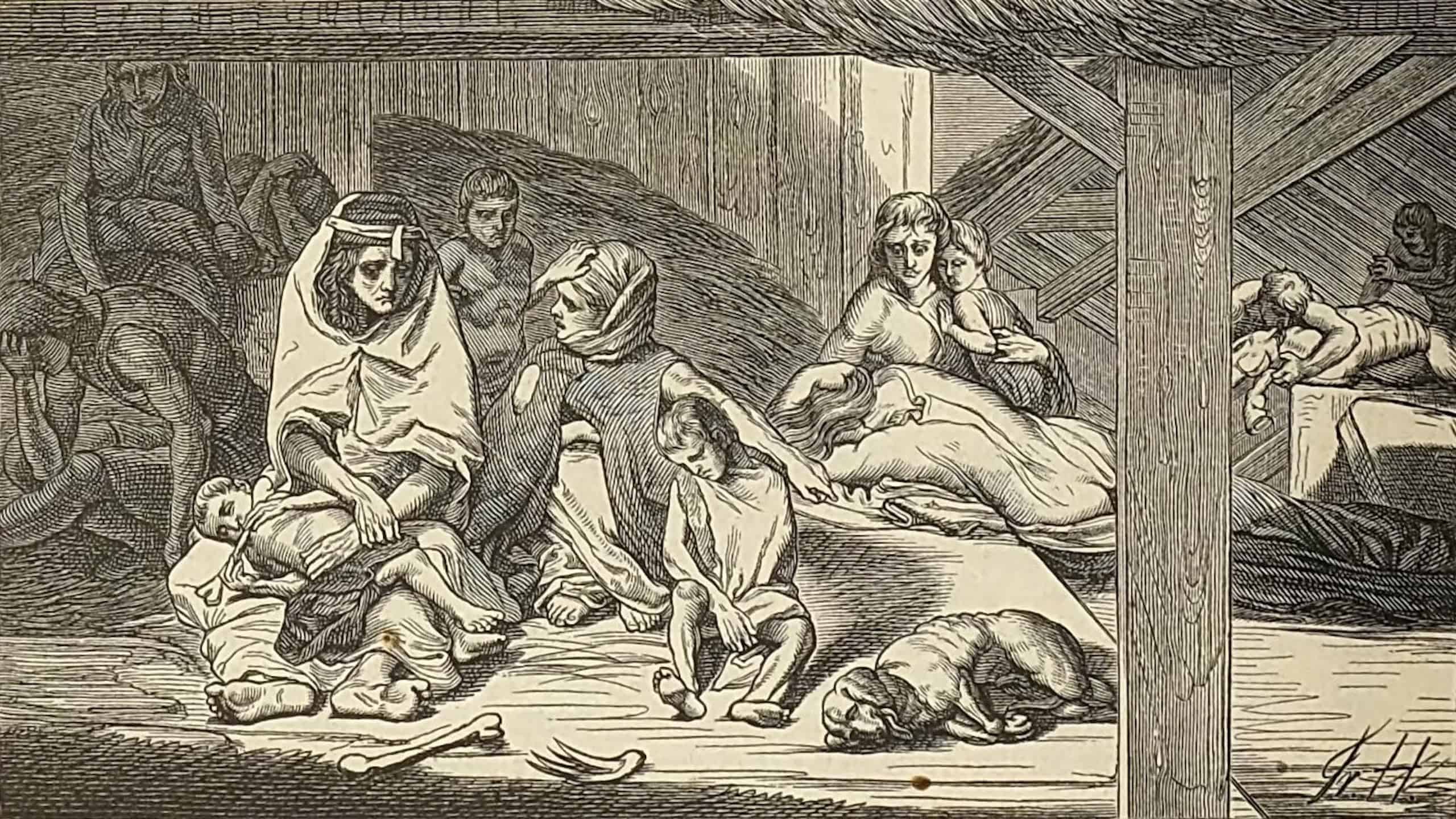 Plague and famine in Germany