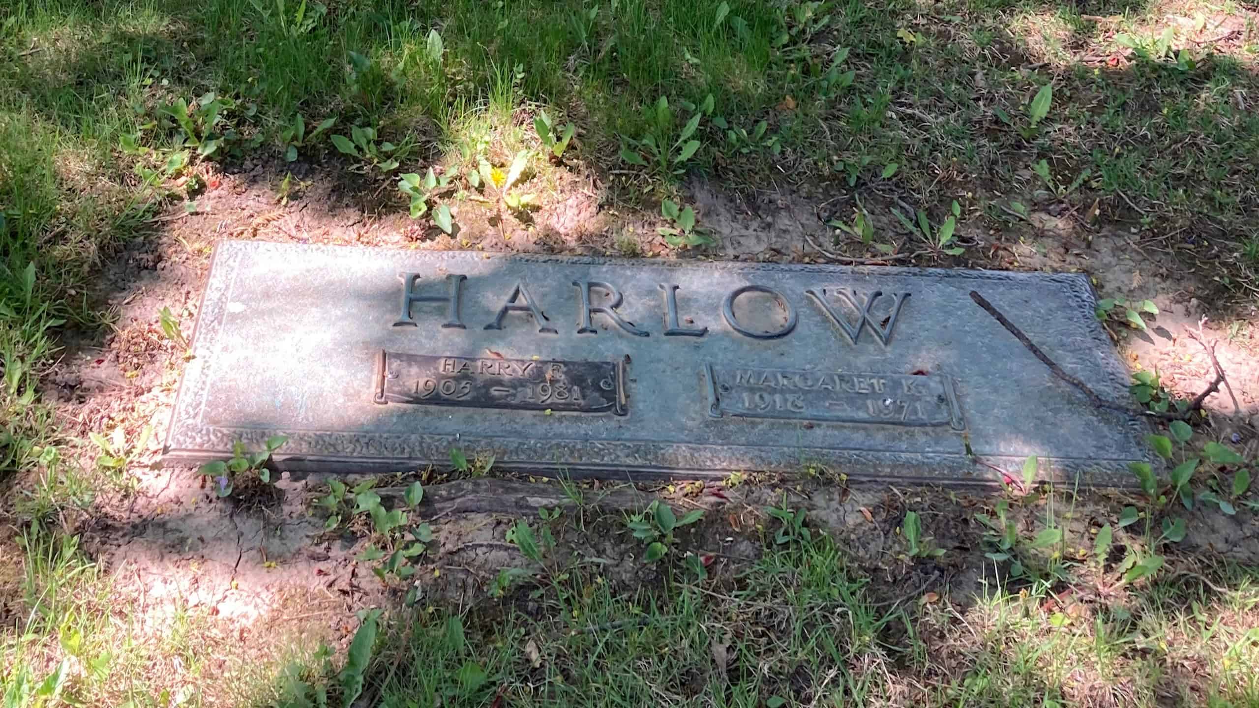 Graves of Harry Frederick Harlow (1905–1981) and Margaret Ruth Kuenne Harlow (1918–1971) at Forest Hill Cemetery, Madison