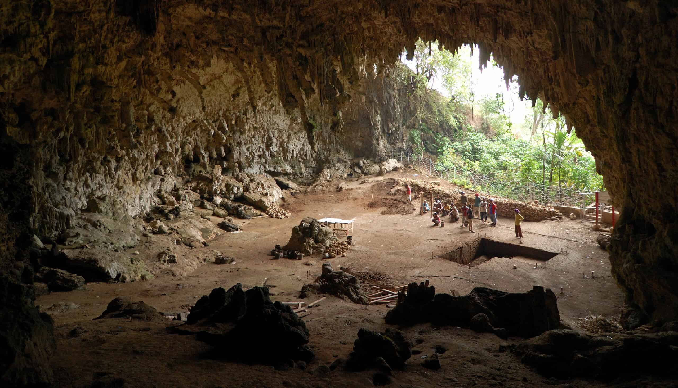 Homo floresiensis cave