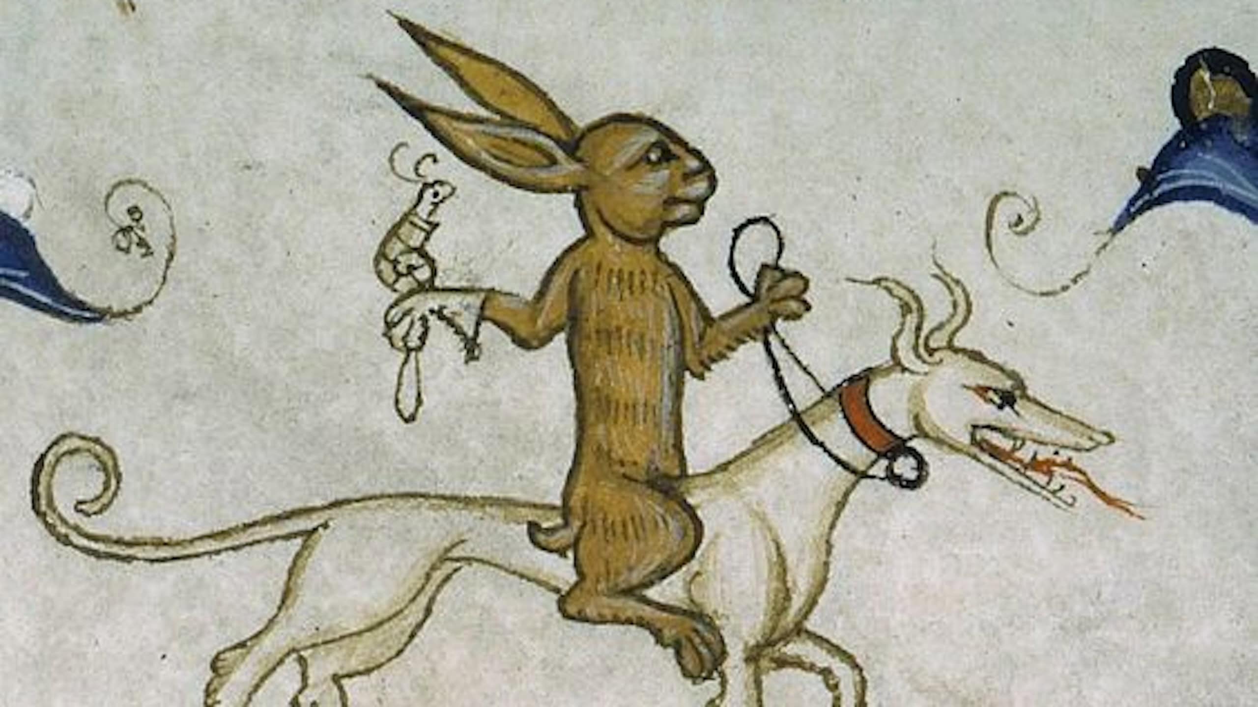 Medieval rabbit in bible